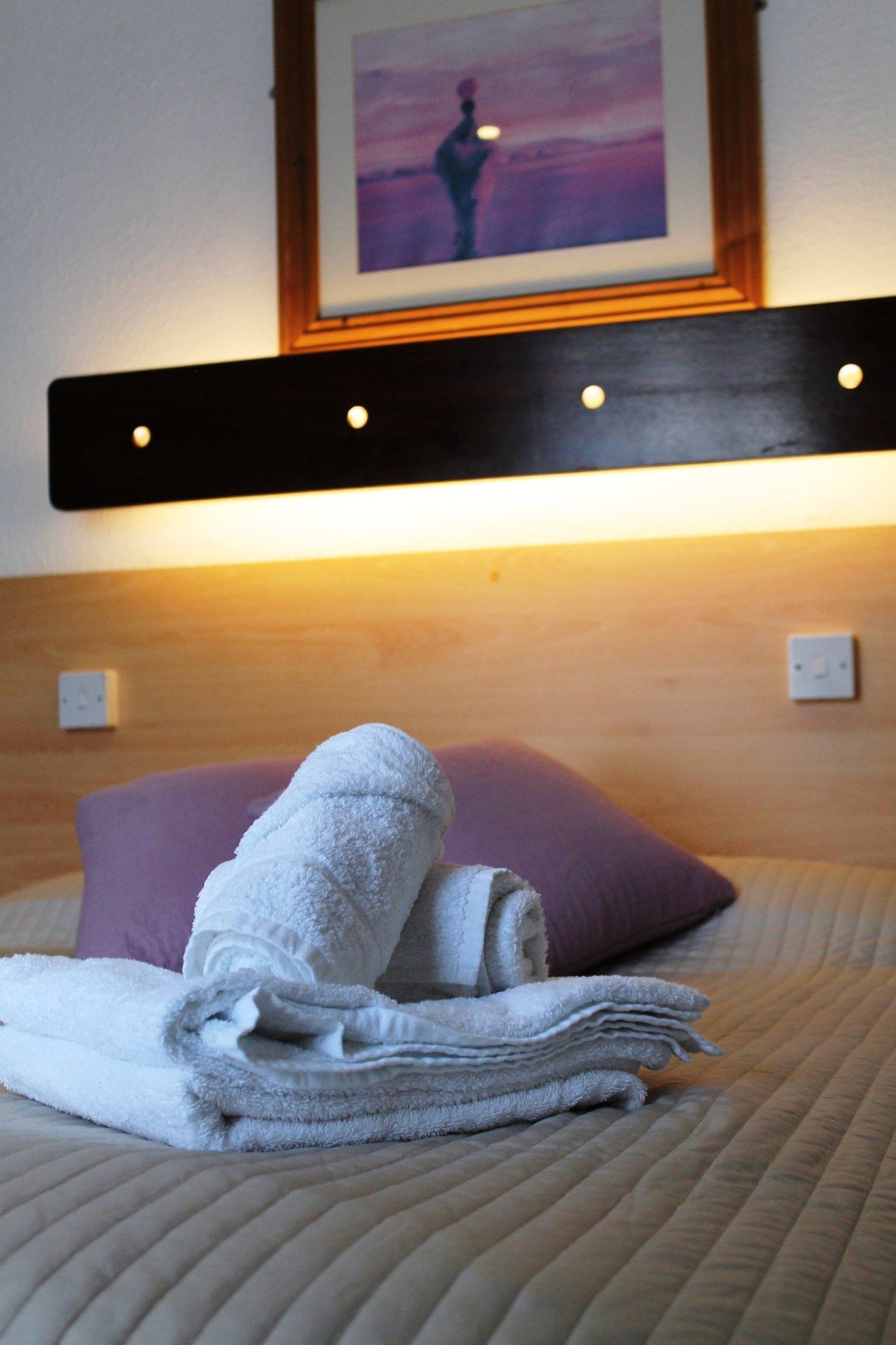 Фото Ashley Hotel