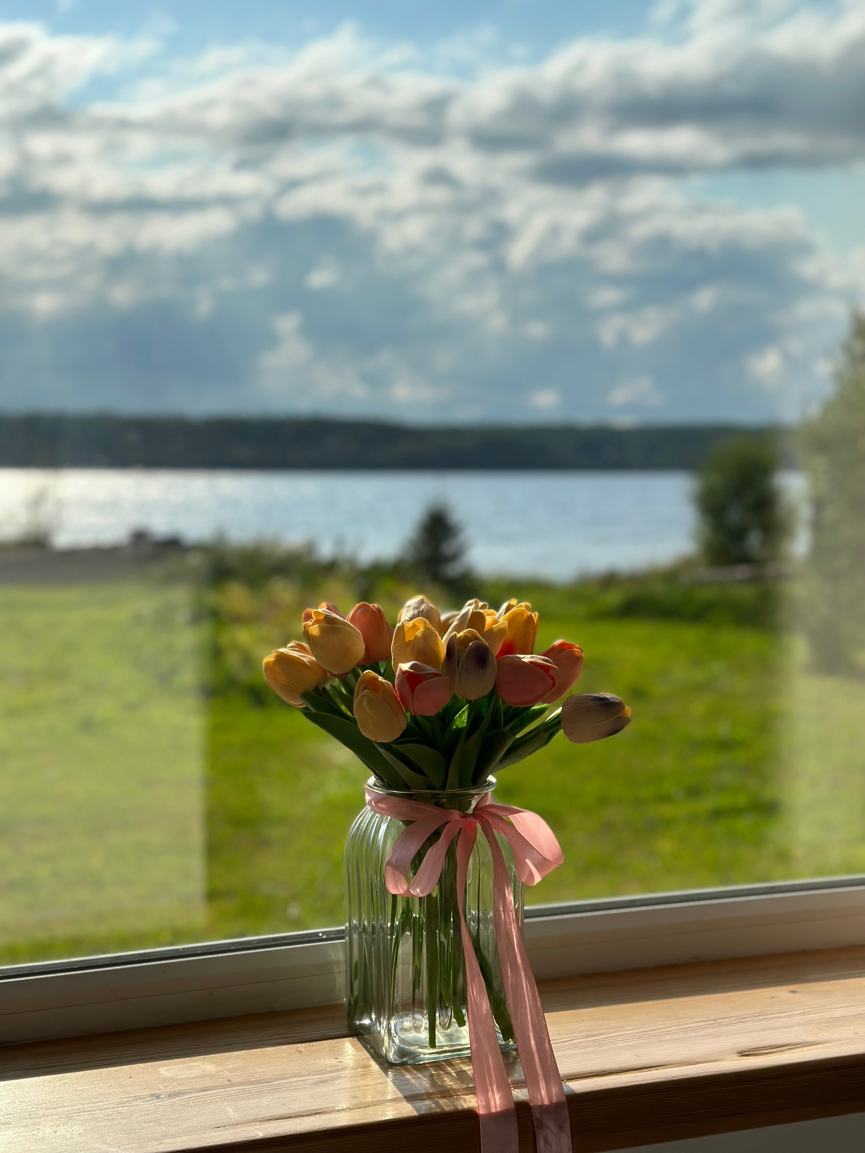 Фото Кивиранта