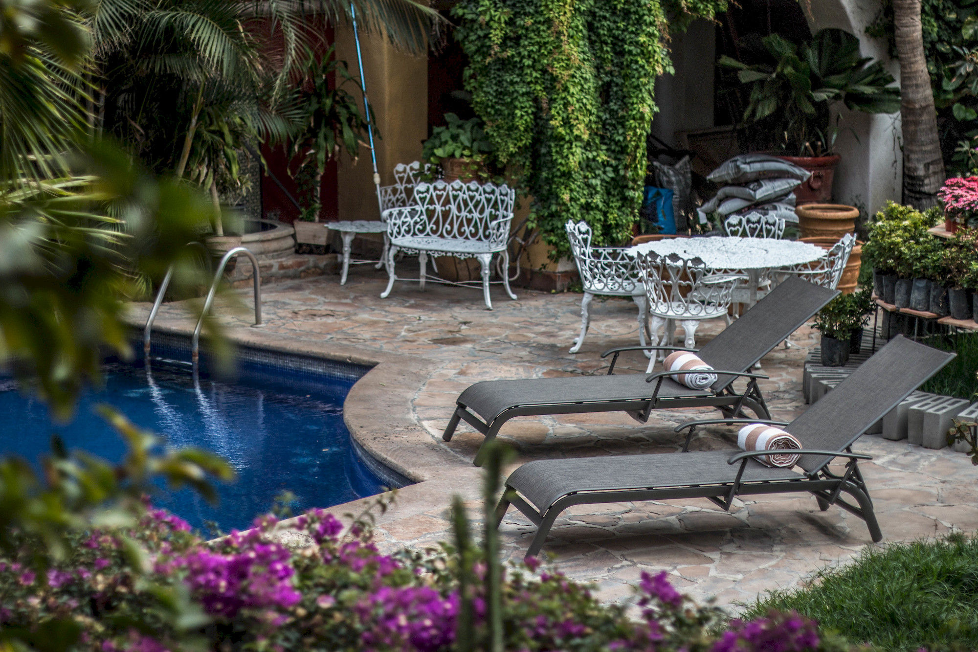 Фото Collection O Casa Bella Hotel Boutique, Cabo San Lucas