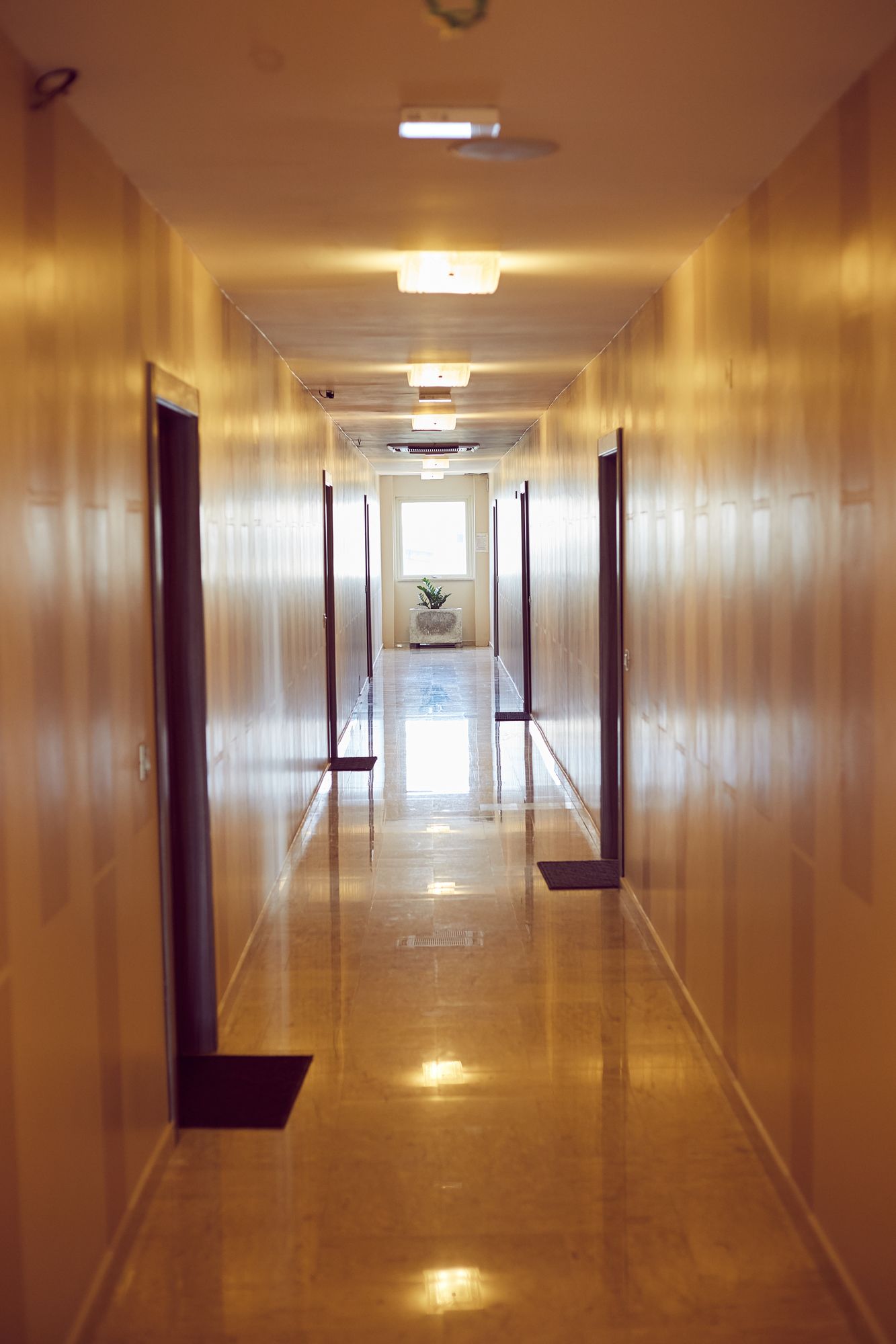 Фото Axis Suites