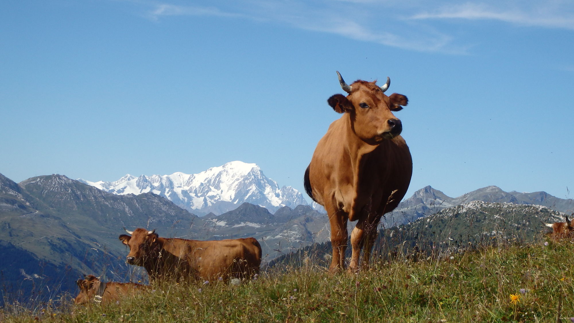 Фото Lake Hôtel Courchevel 1850