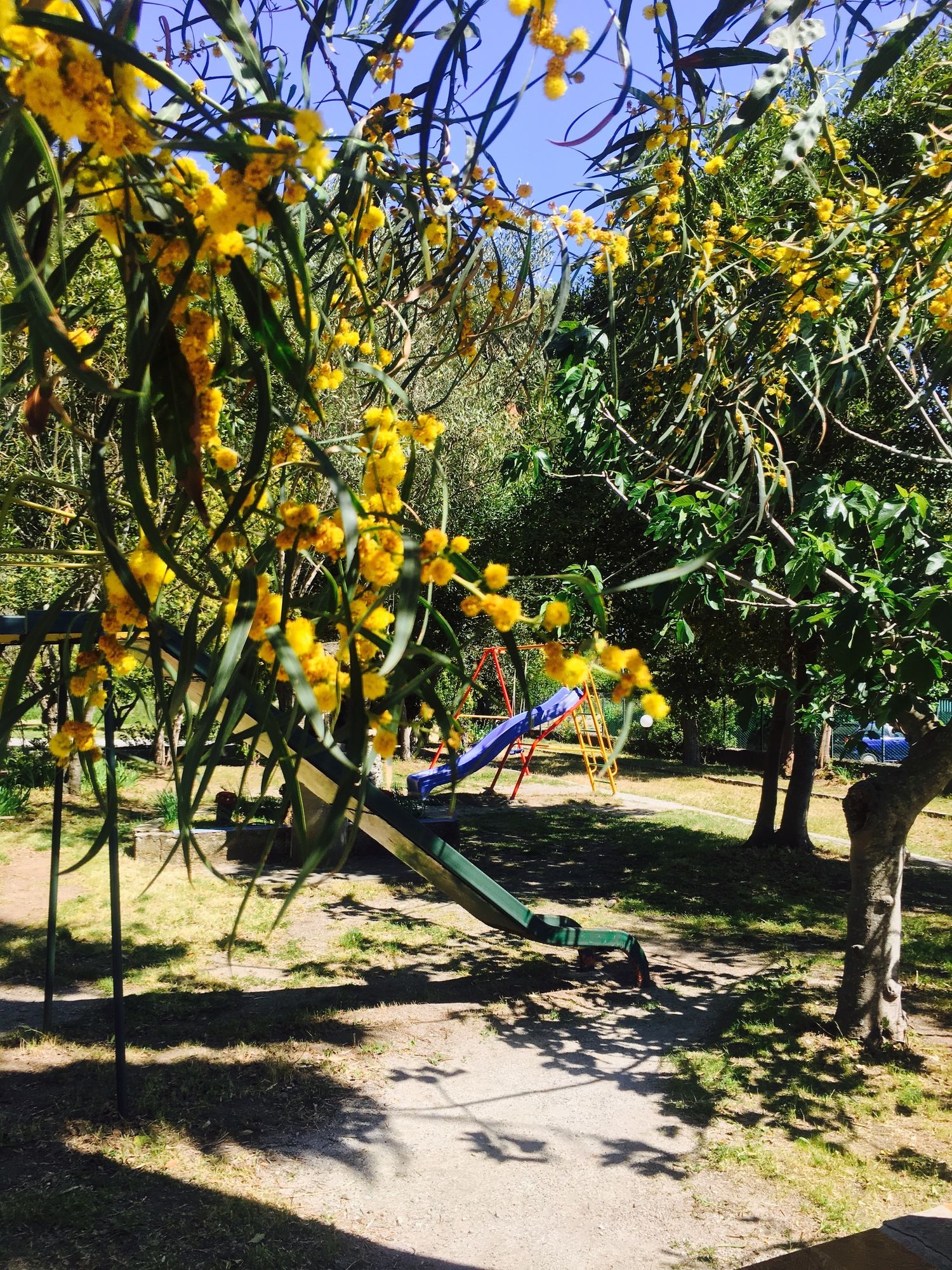 Фото Hotel Ristorante La Mimosa