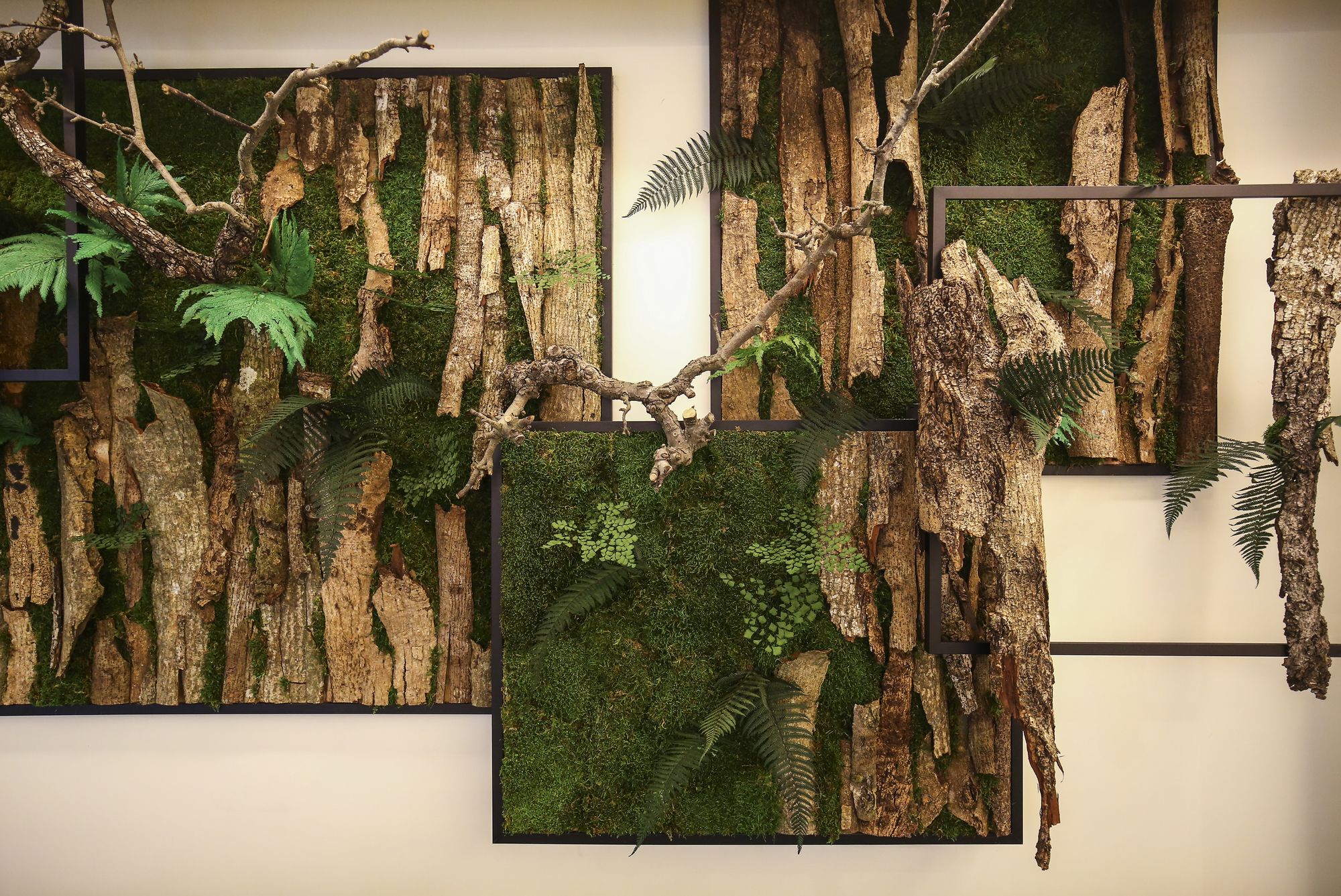 Фото Dandy Hotel Daan Park Branch