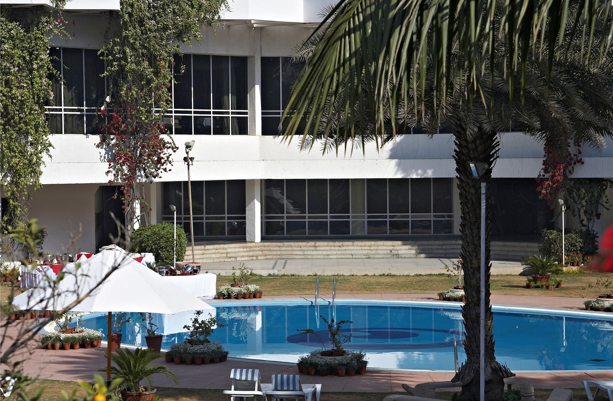 Фото Clarks Amer