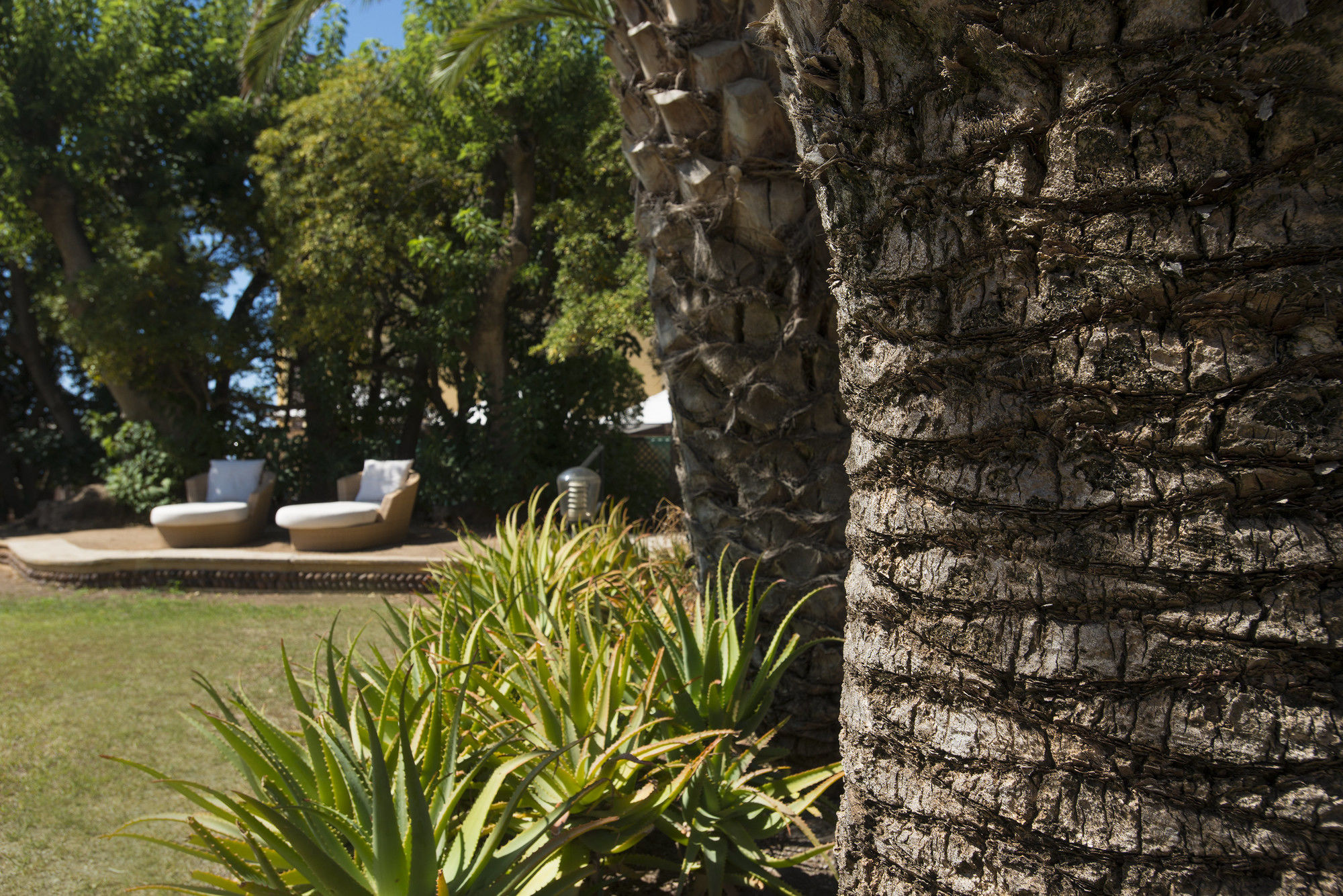 Фото Villa Mosca