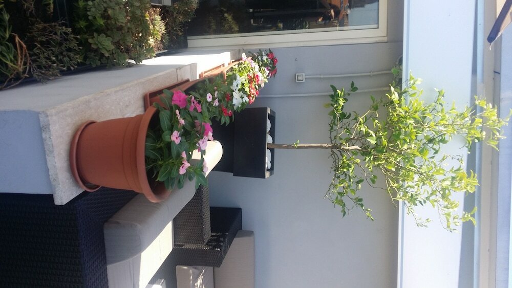 Фото Hotel Gravina San Pietro