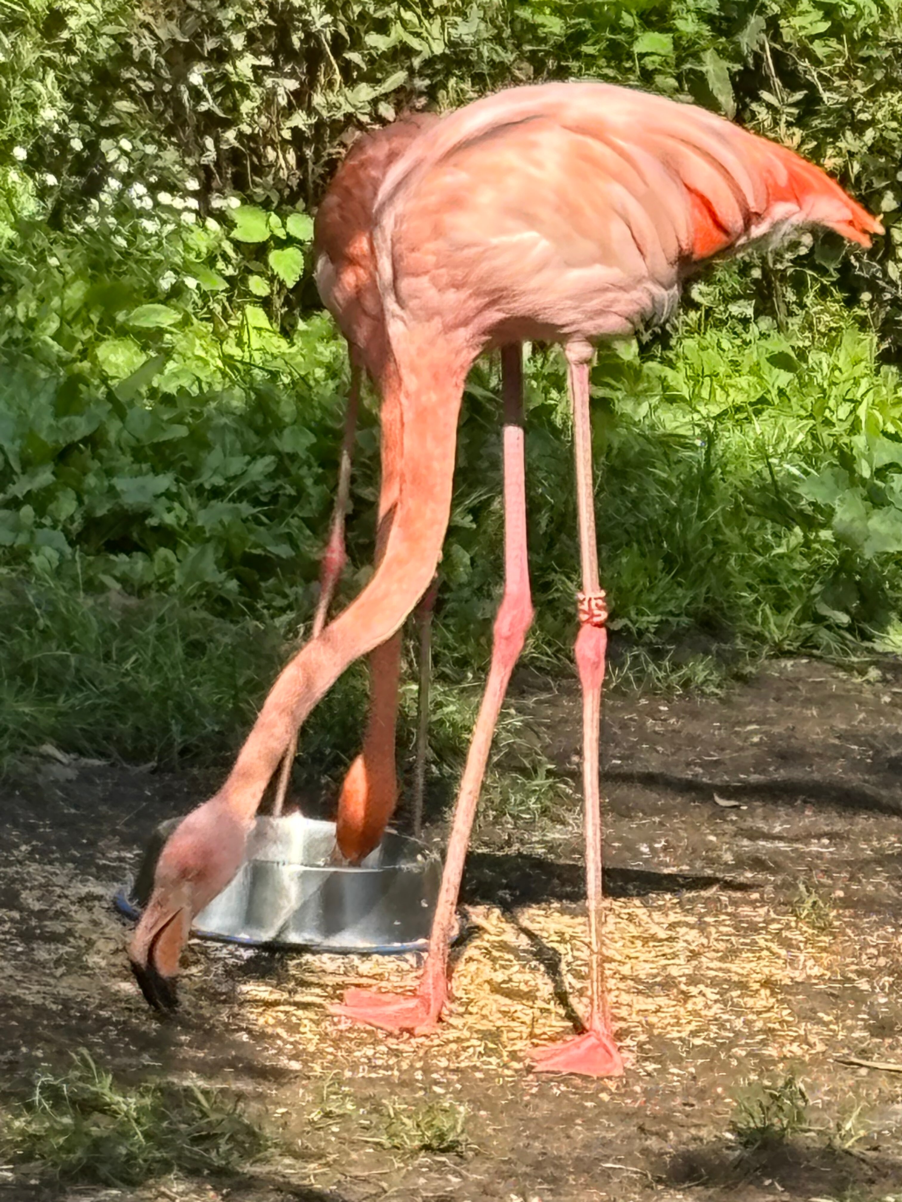 Фото Привал