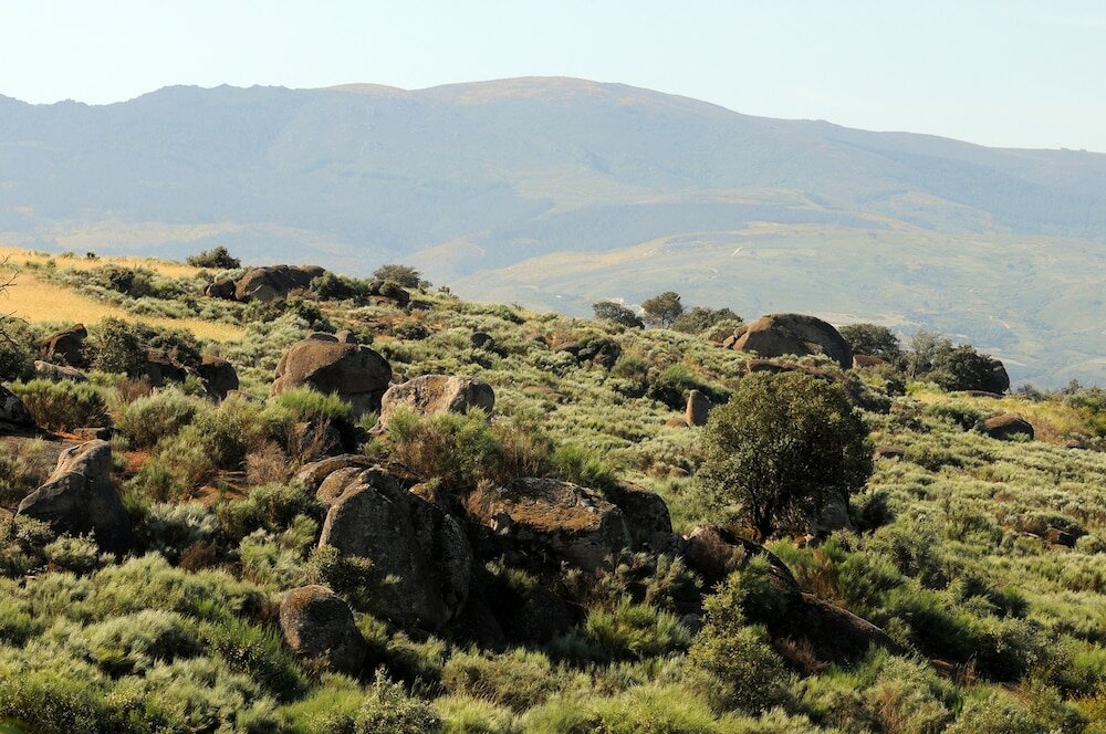 Фото Inatel Vila Ruiva Hotel