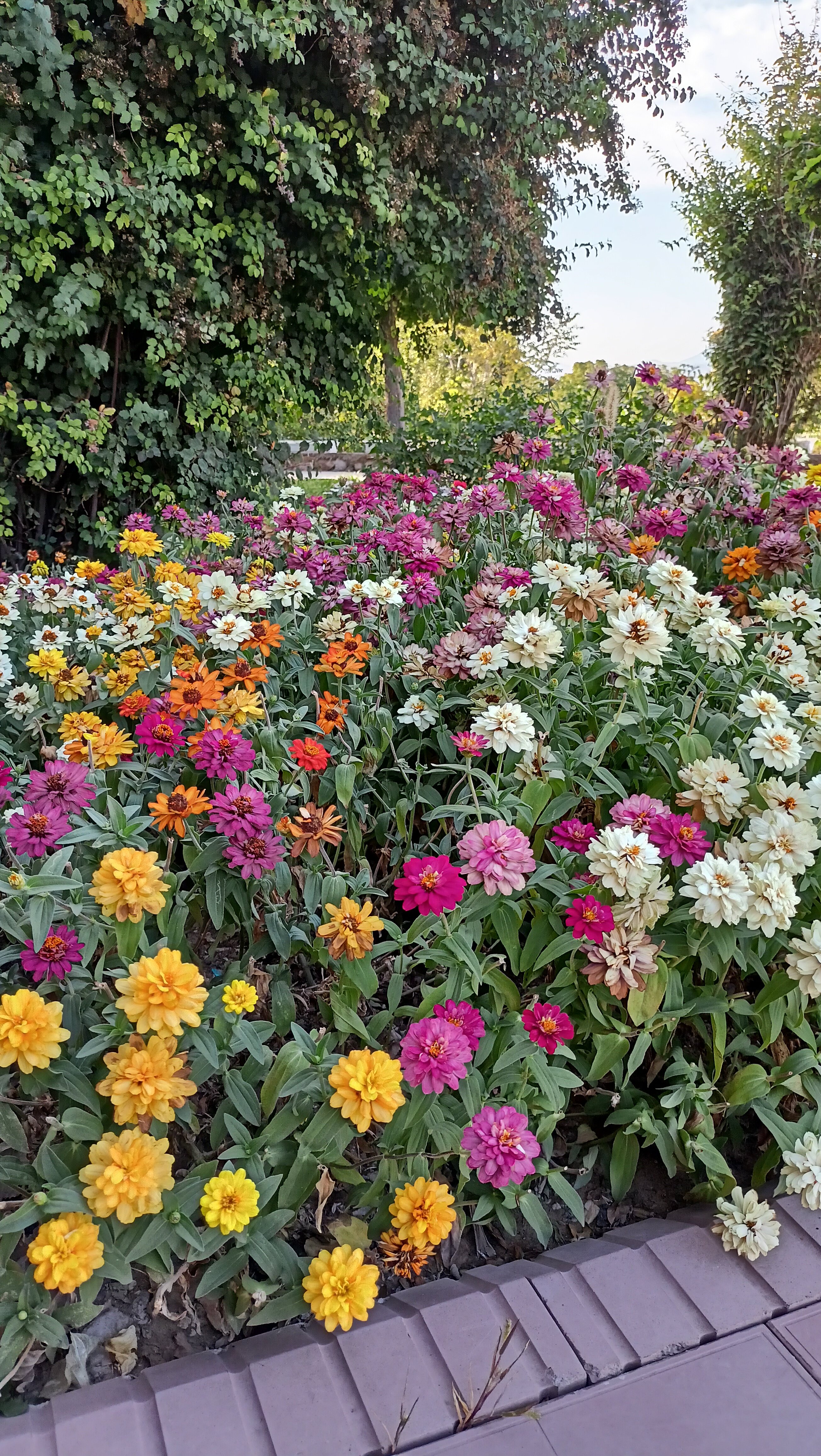 Фото Avenue Park Hotel