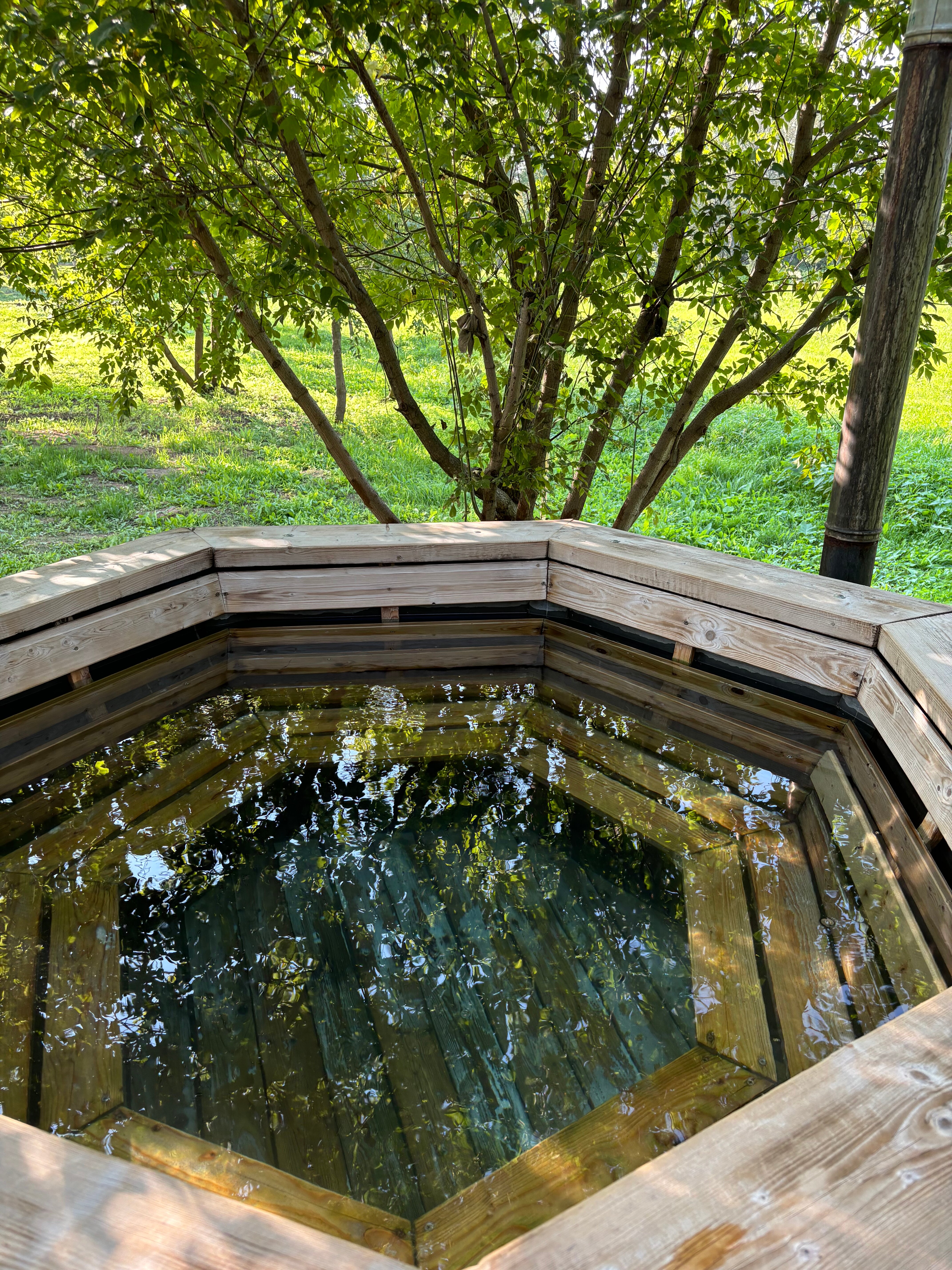 Фото КраснаДача