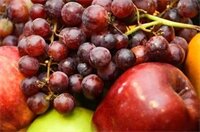 Фото Best Western Plus University Inn