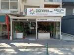 Cicekweb (İzmir, Karşıyaka, Fazıl Bey Cad., 101A) ، محل زهور