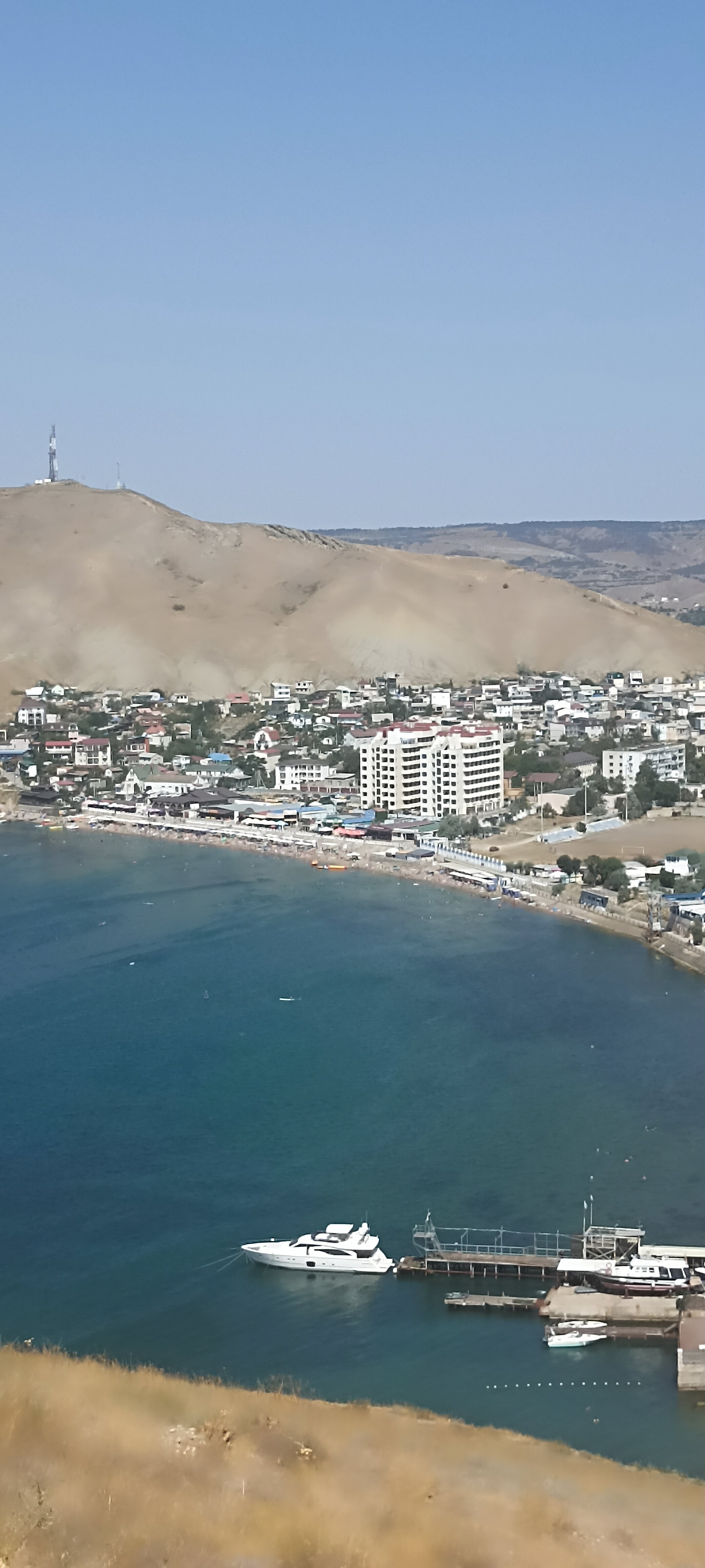 Фото Белый лебедь