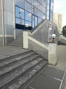 Американдық әке мультфильм порно