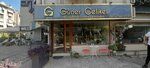 Güner Çelikel Gayrimenkul&Danışmanlık (İstanbul, Bakirkoy District, Ataköy 7-8-9-10. Kısım Mah., Defne Sok., 10), real estate agency