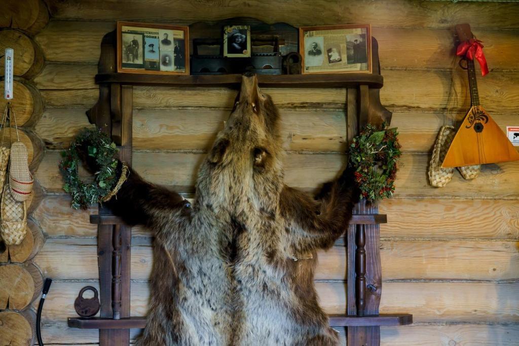 Фото Медведь