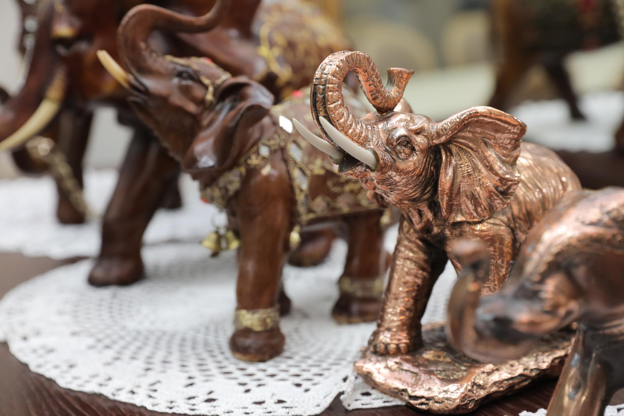 Фото Гостилицы