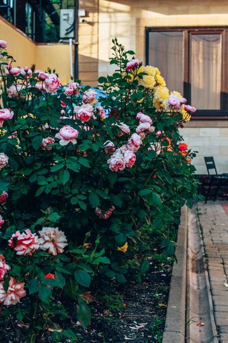 Дом в аренду Alta eco Villa в Геленджике