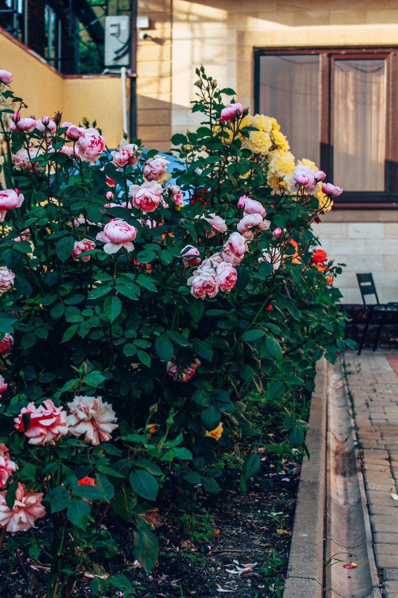 Фото Alta eco Villa