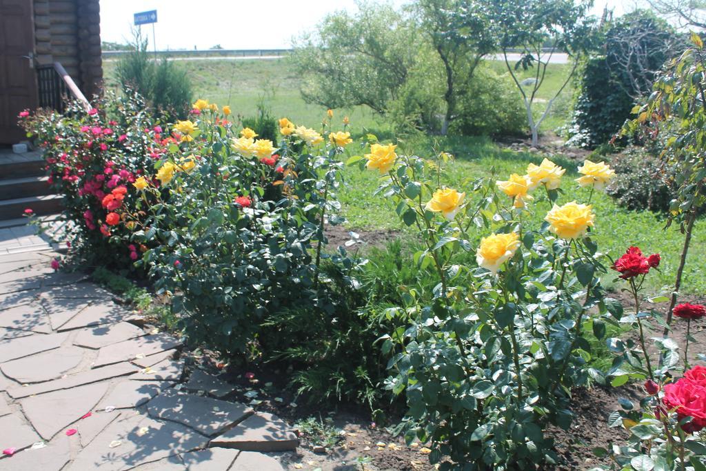 Фото Роза Ветров