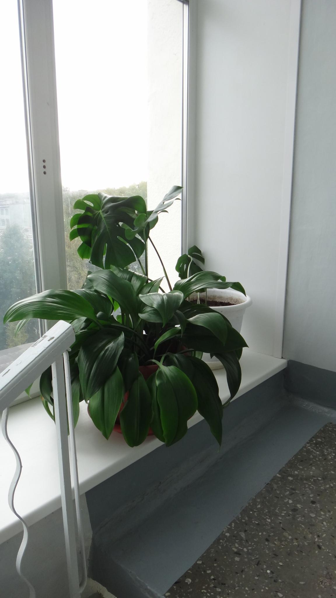 Фото Севмаш