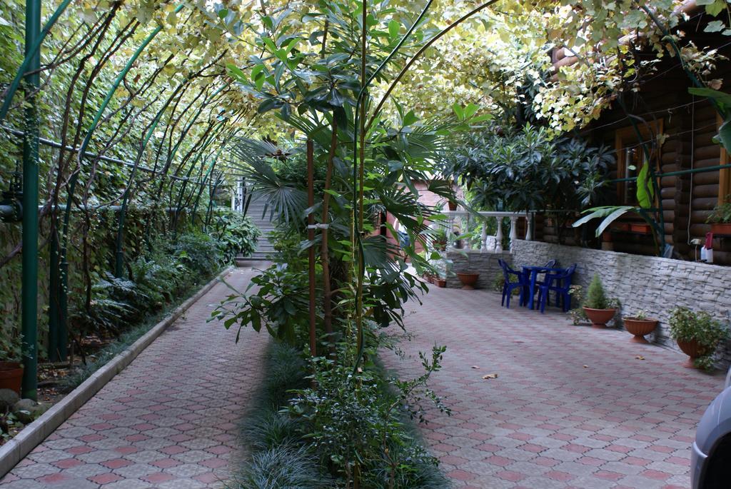 Фото Эдельвейс