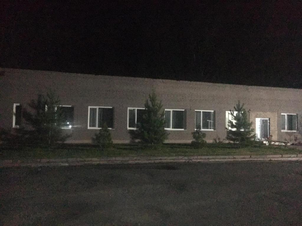 Фото Медведь