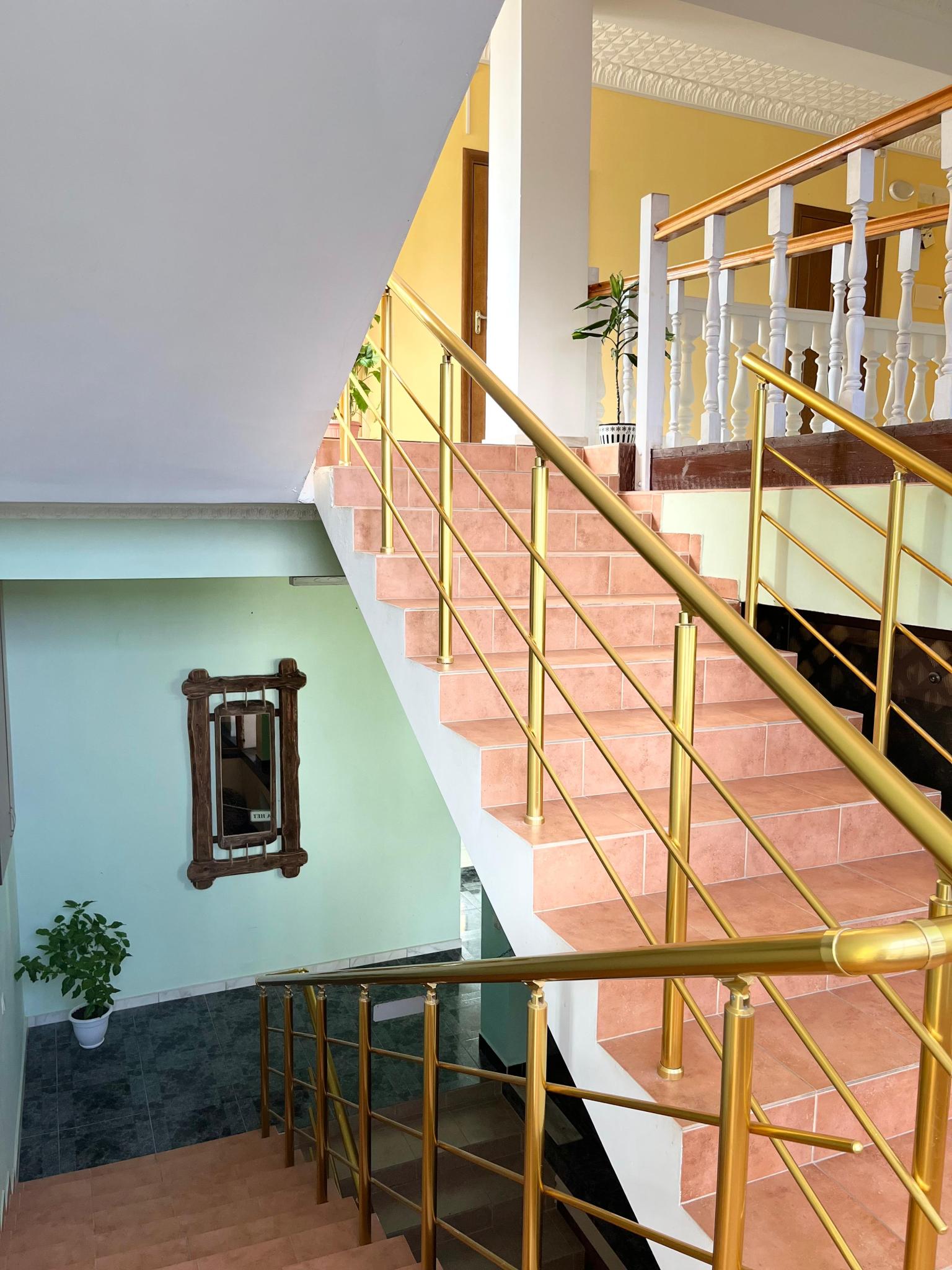 Фото Акуна Матата