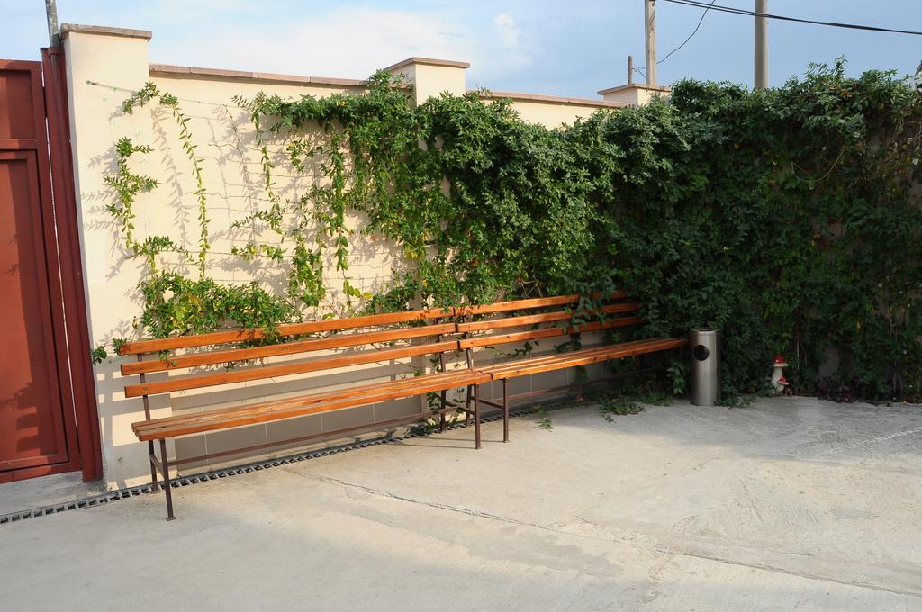 Фото Гулливер-1