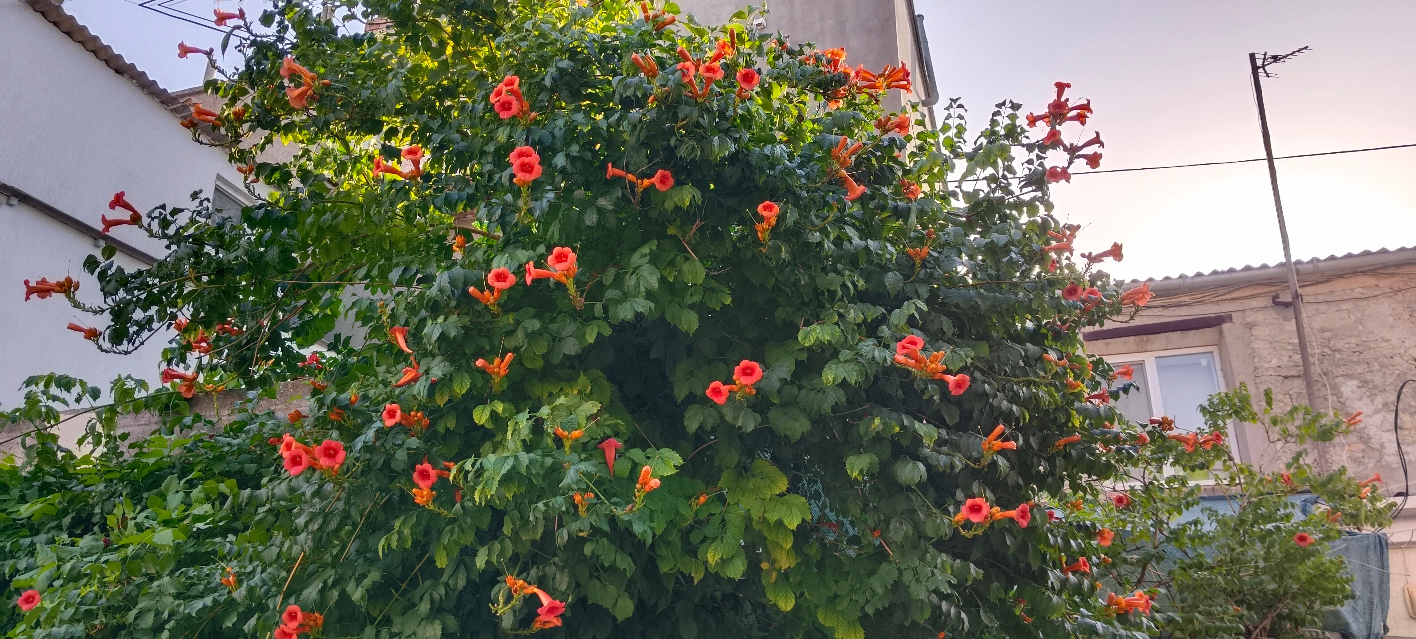 Фото Лето-Море