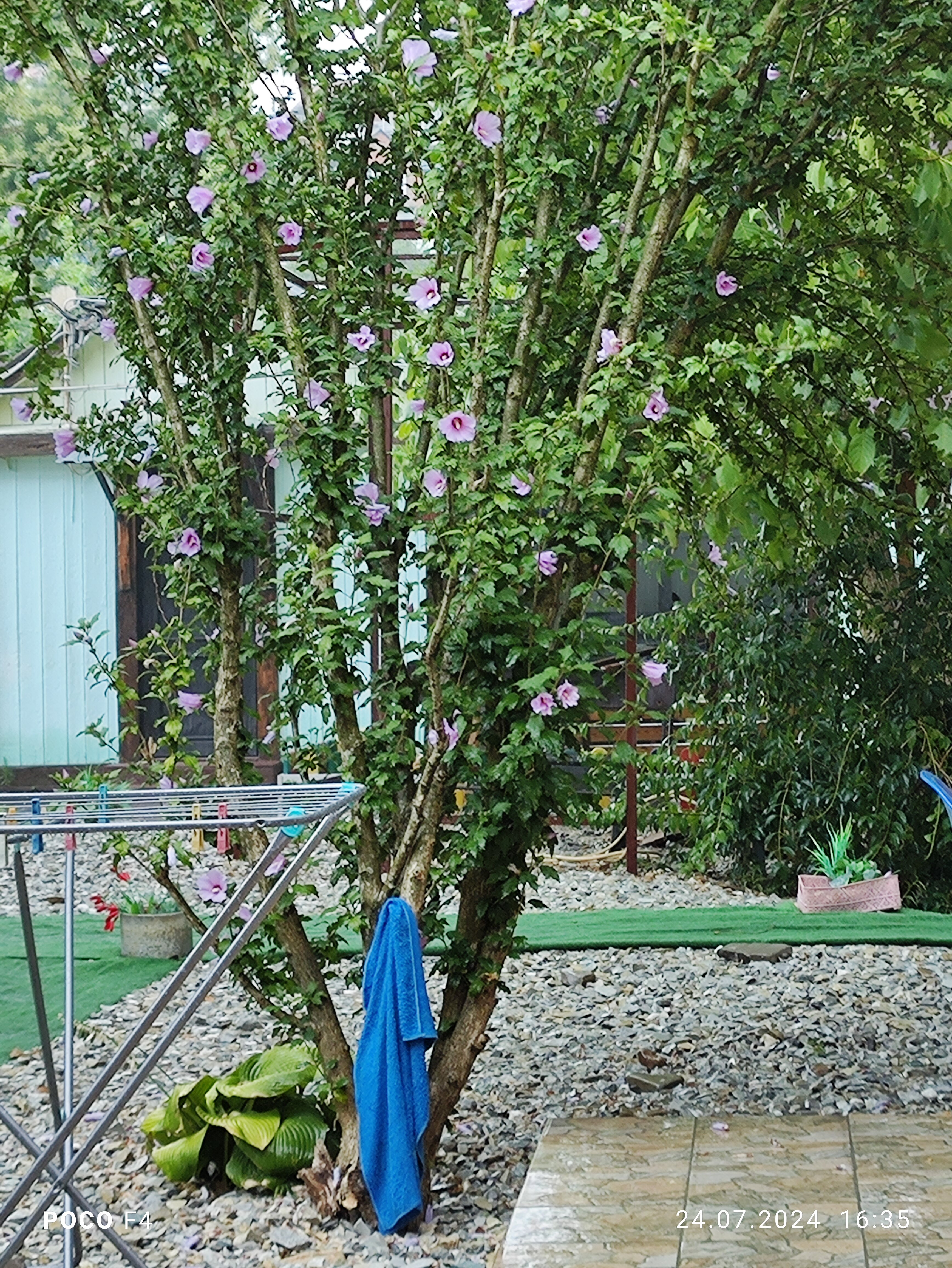 Фото Дружба