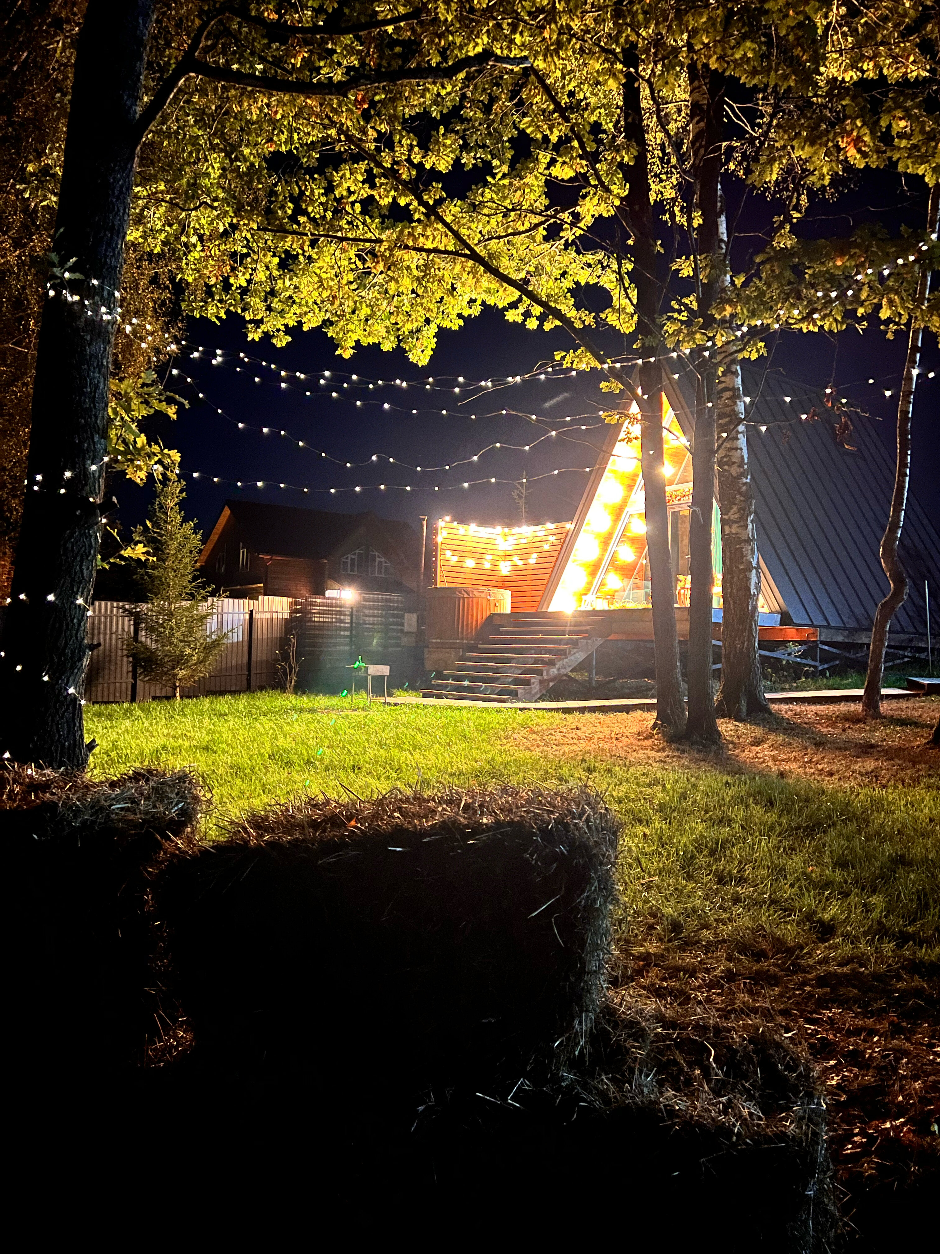 Фото Ильинка лес