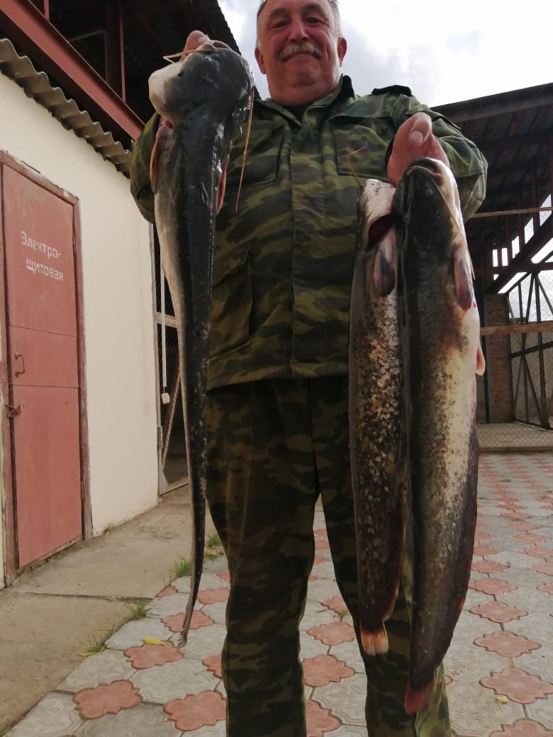 Фото Белый лев