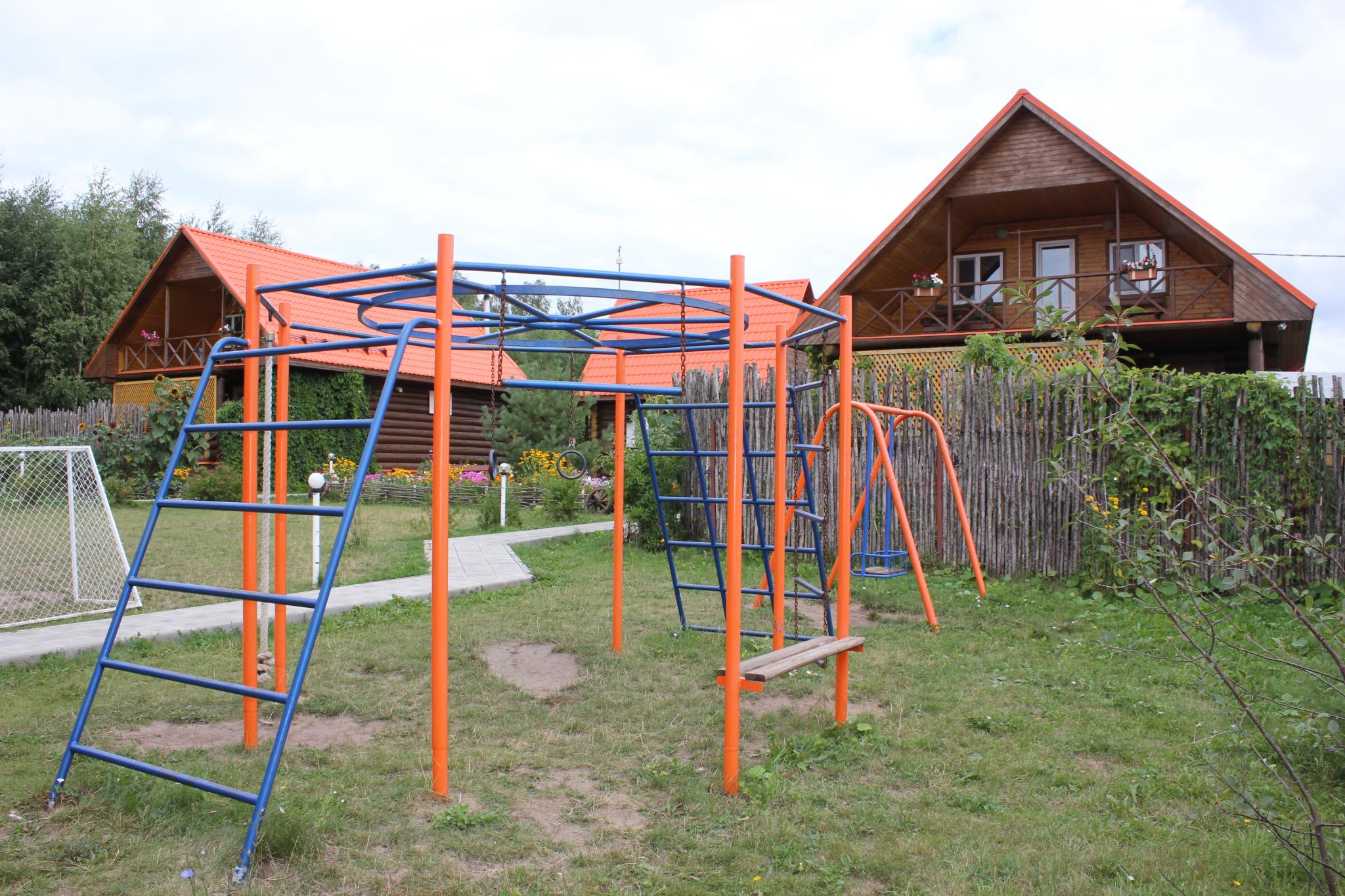 Фото Подсолнух