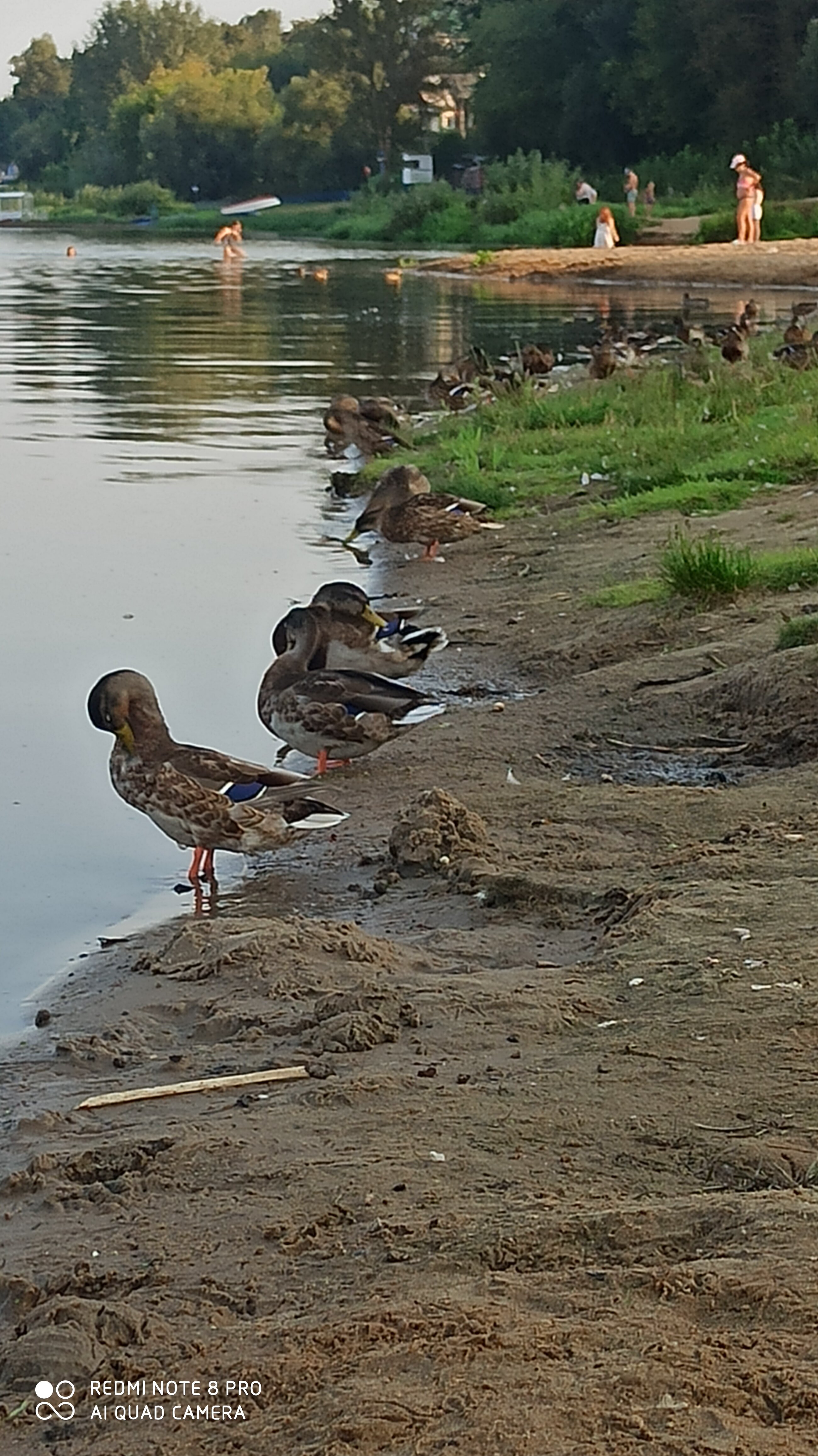 Фото Турист