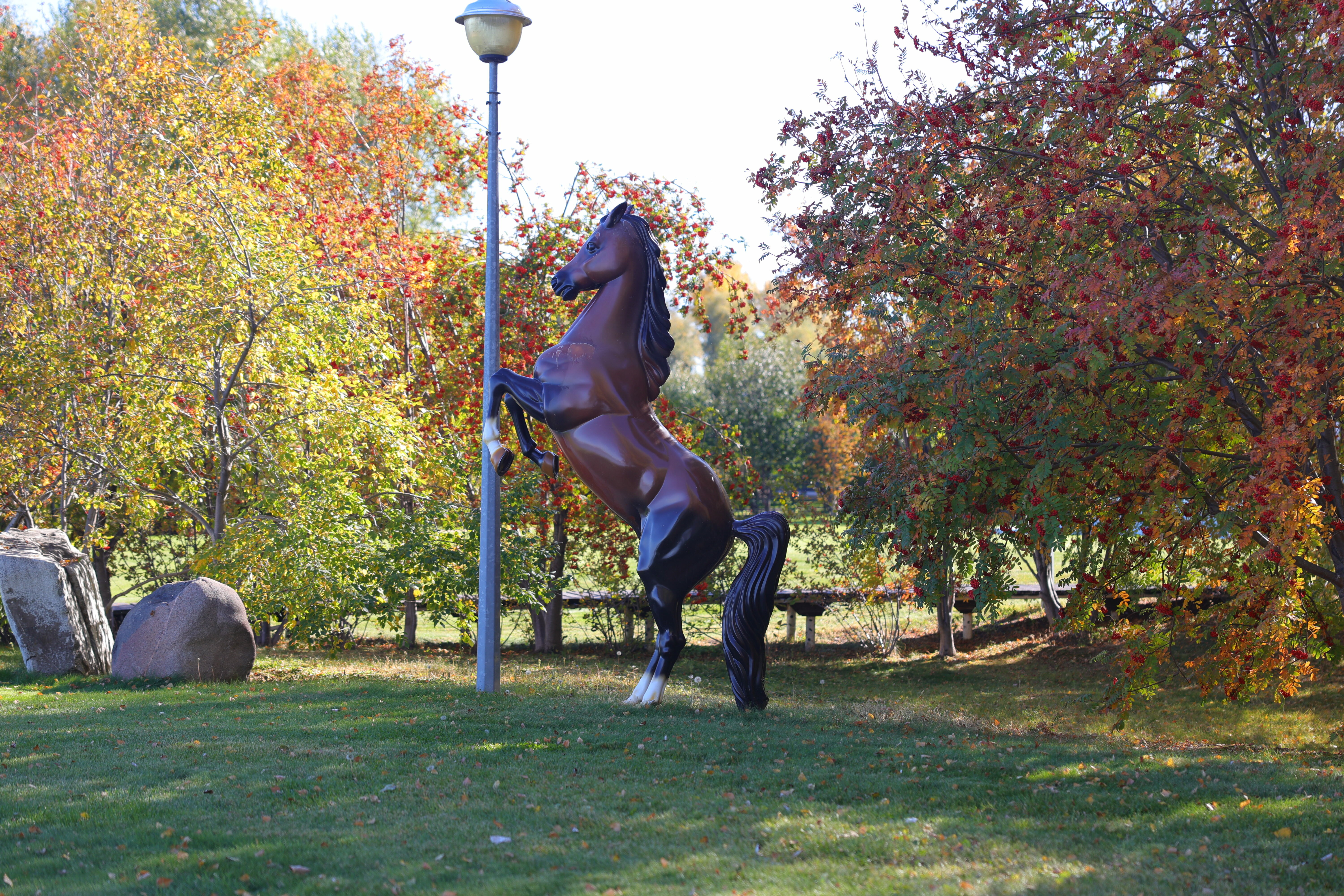 Фото Заимка