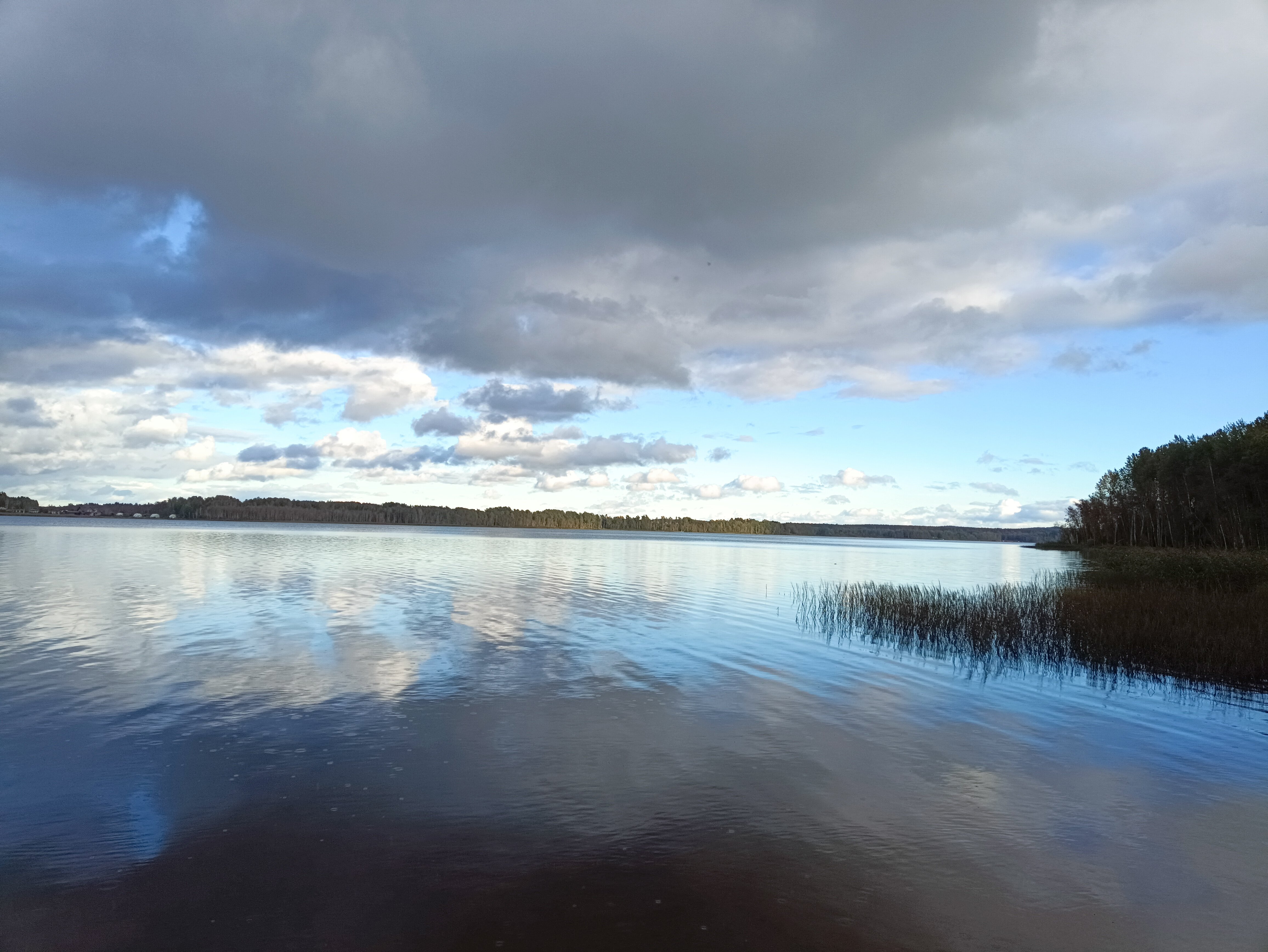 Фото Ёlki в Правдинское озеро