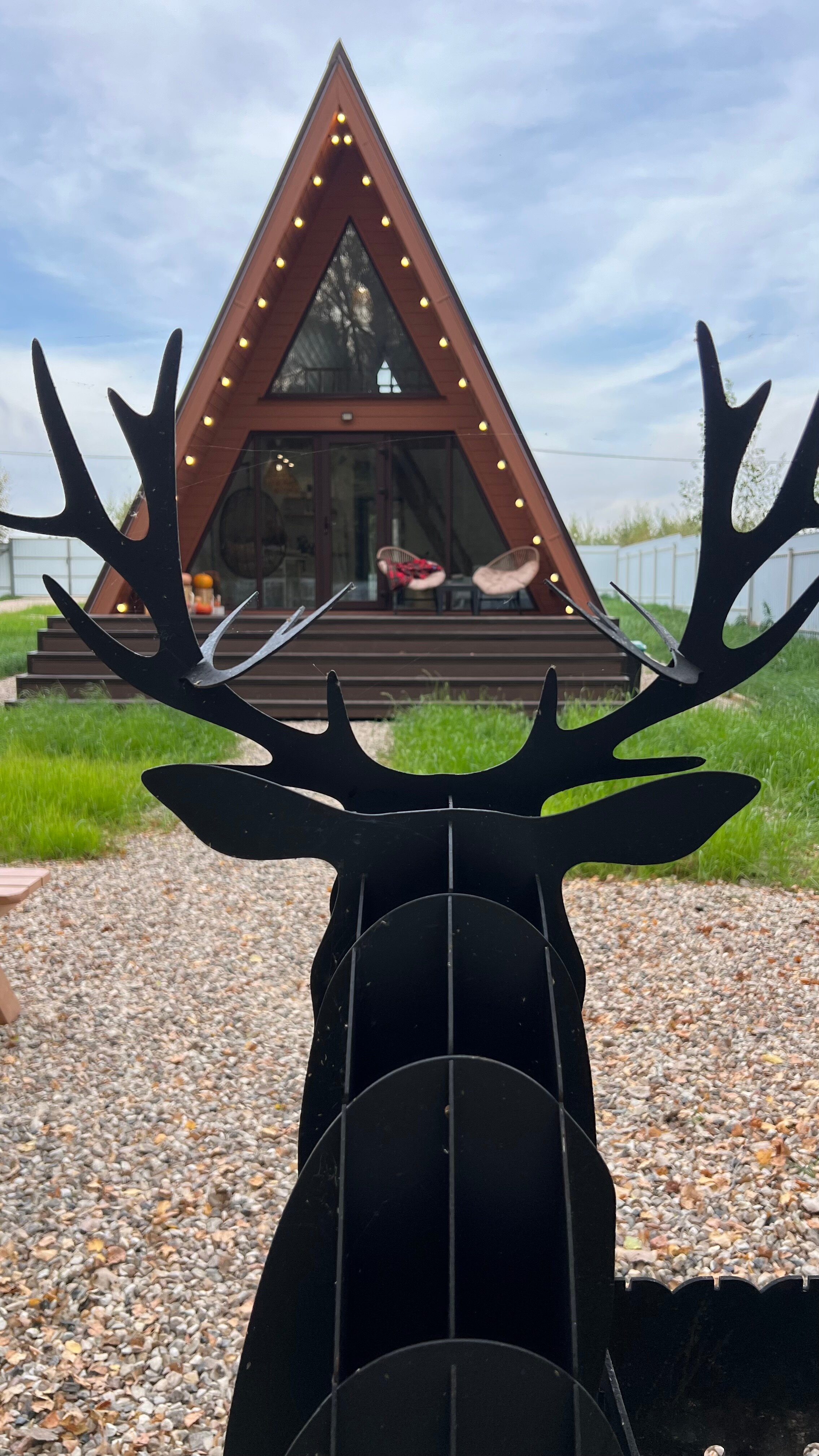 Фото На природе