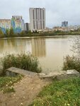 Экологический центр (Gordeevskaya Street, 105) ، التنظيم البيئي