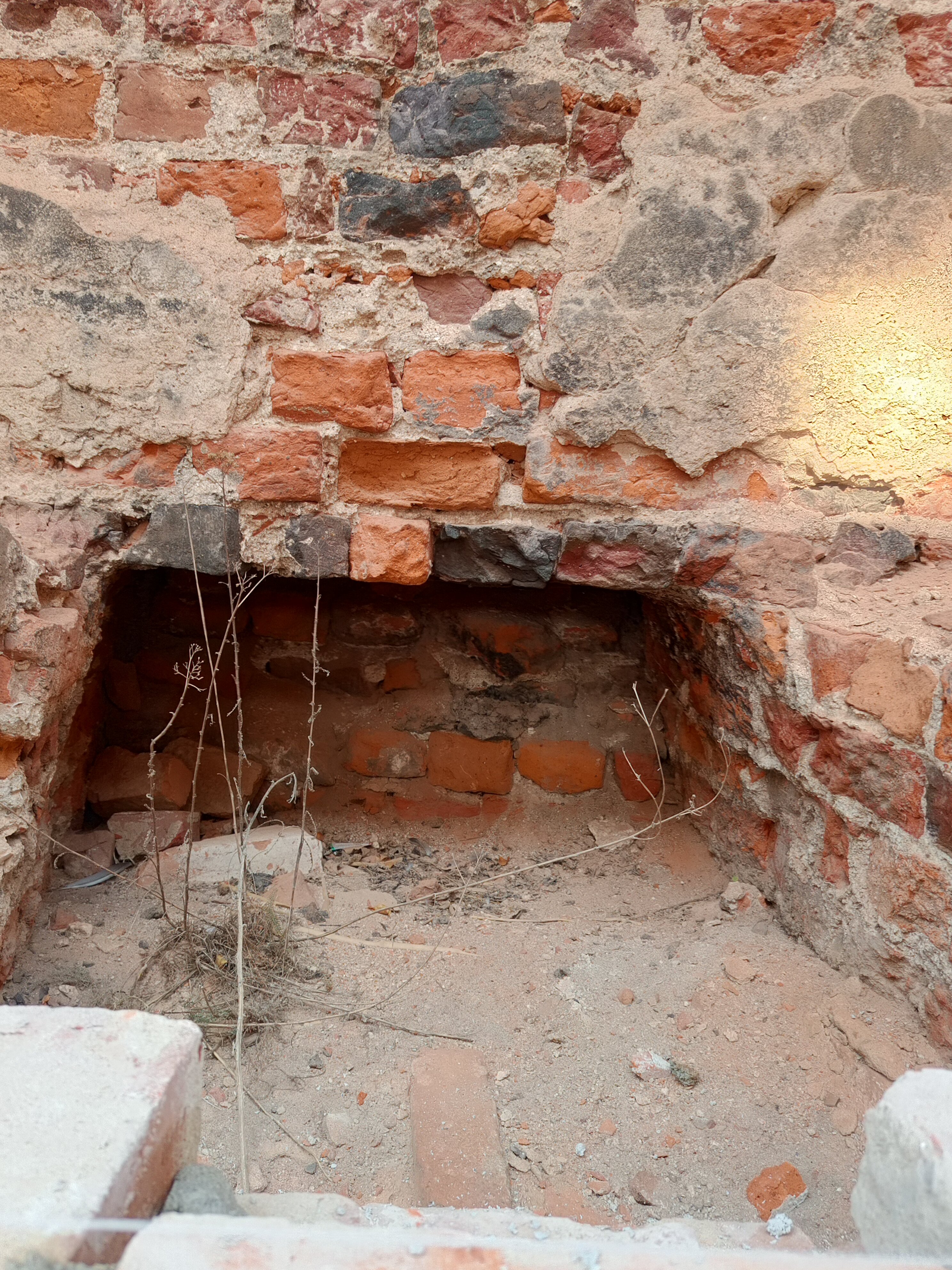 Фото Принцесса Рагнета