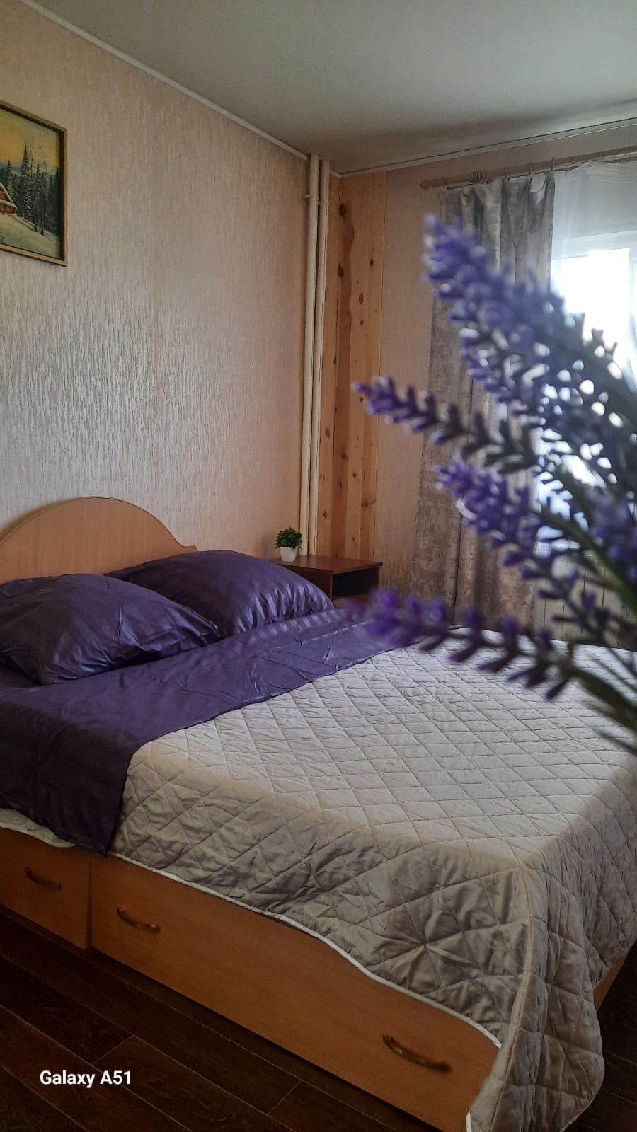Фото Домашний