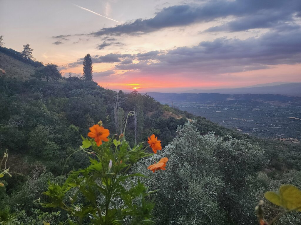 Restaurant Kaplan Dag Restaurant, Tire, photo