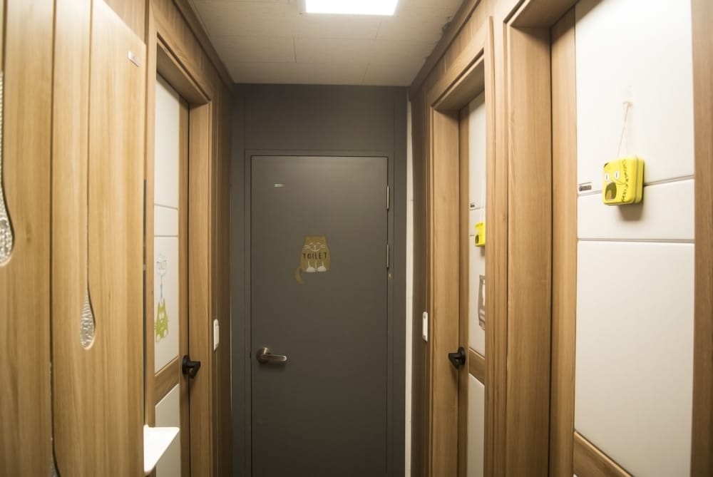 Фото Hause Itaewon