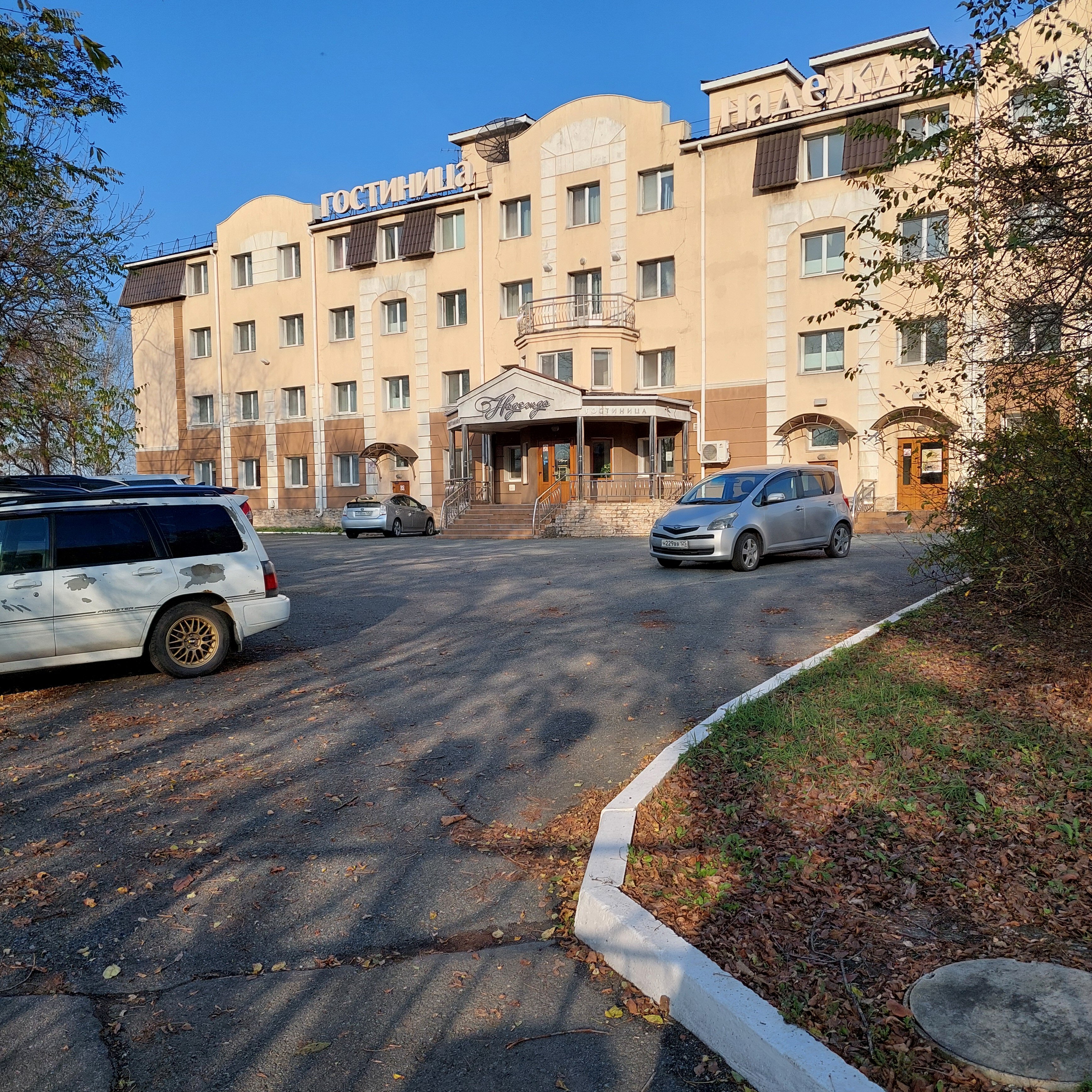 Фото Надежда