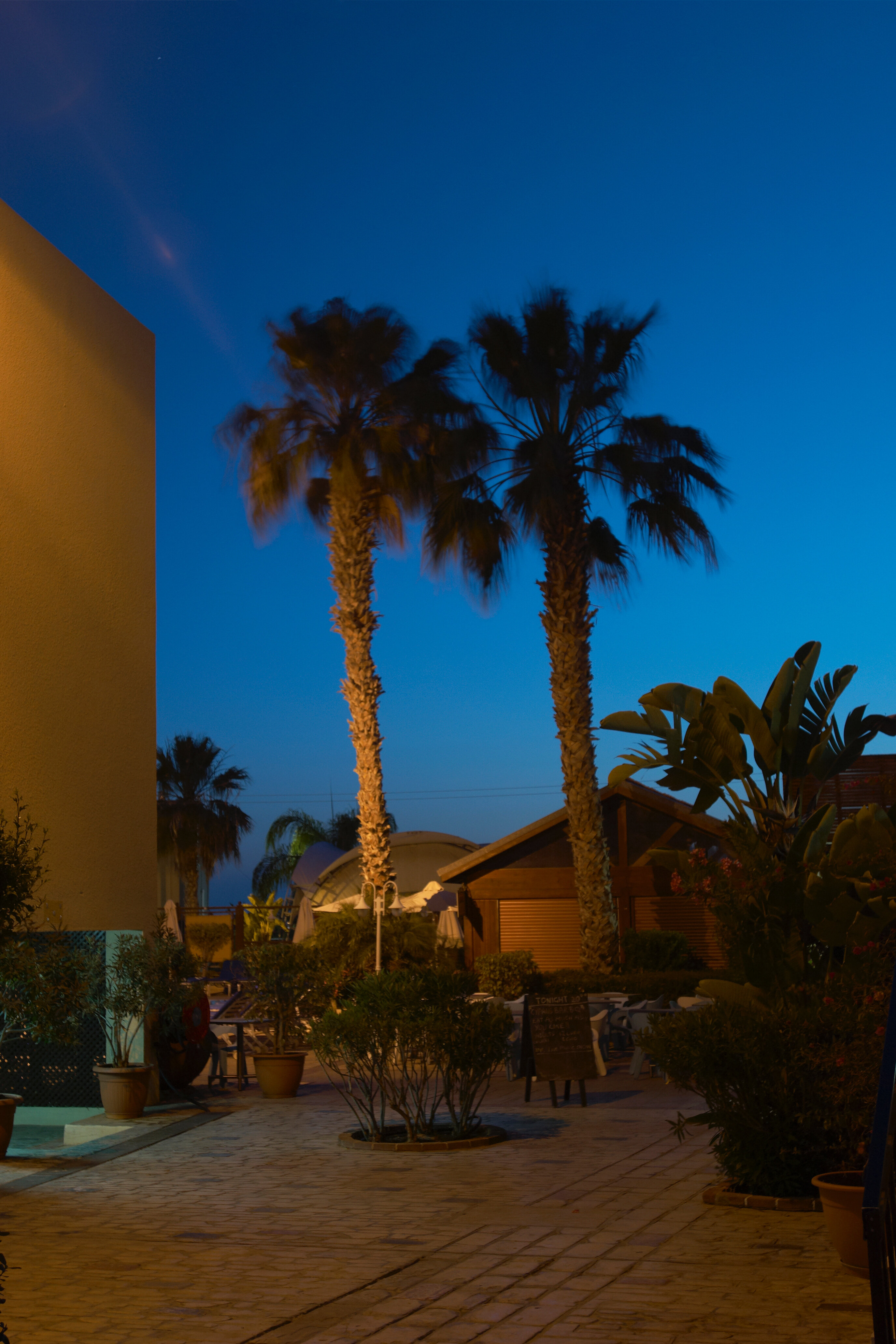 Фото Senator Hotel