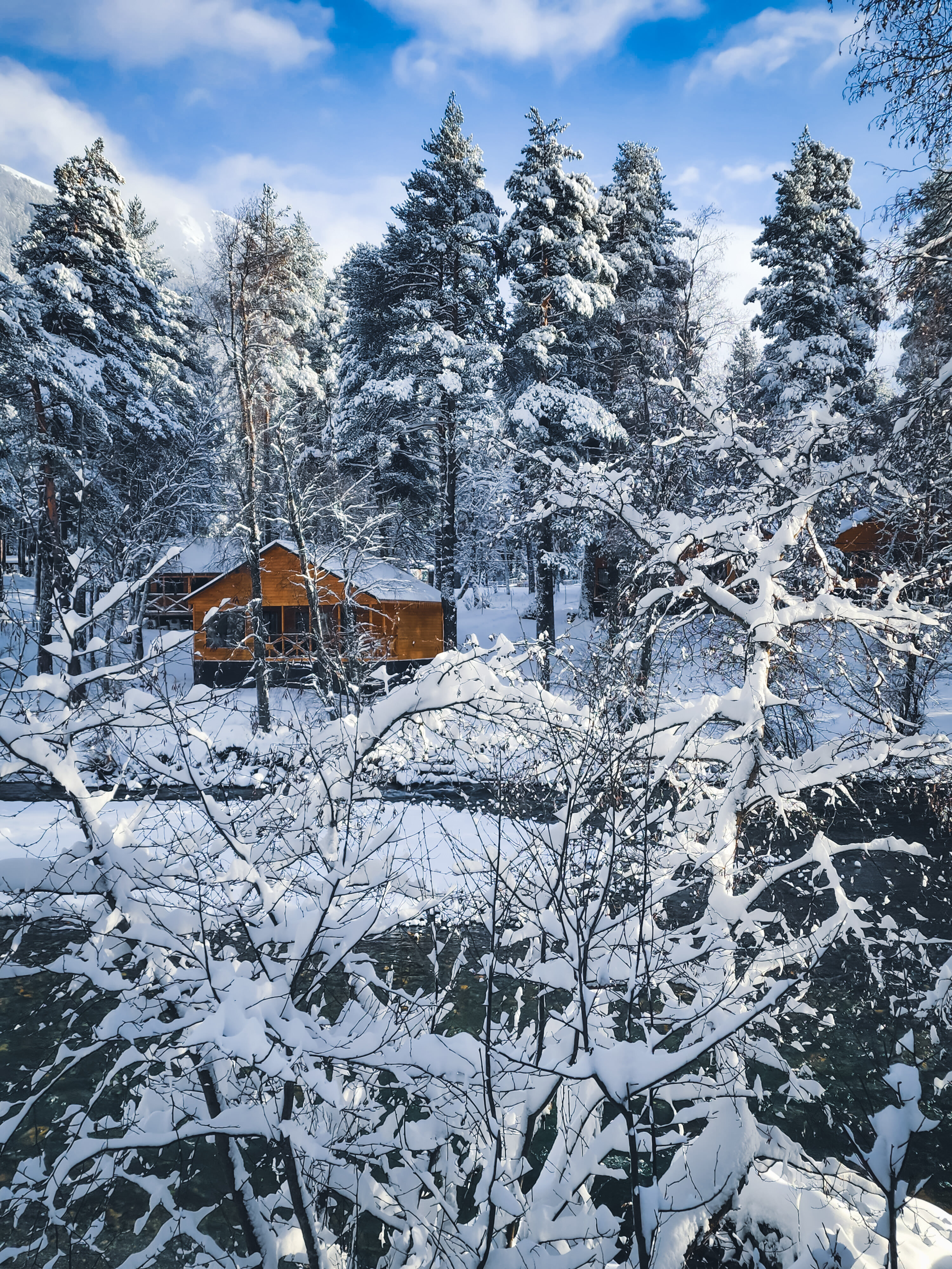 Фото Шале Хвоя