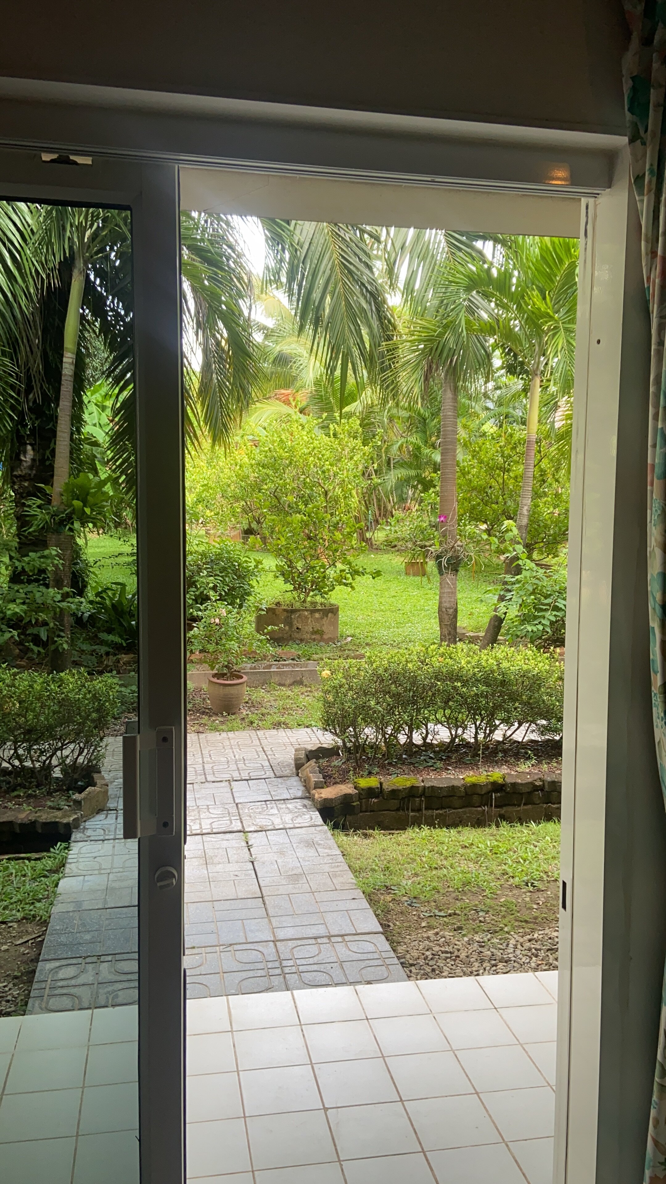 Фото Patong Palace Hotel