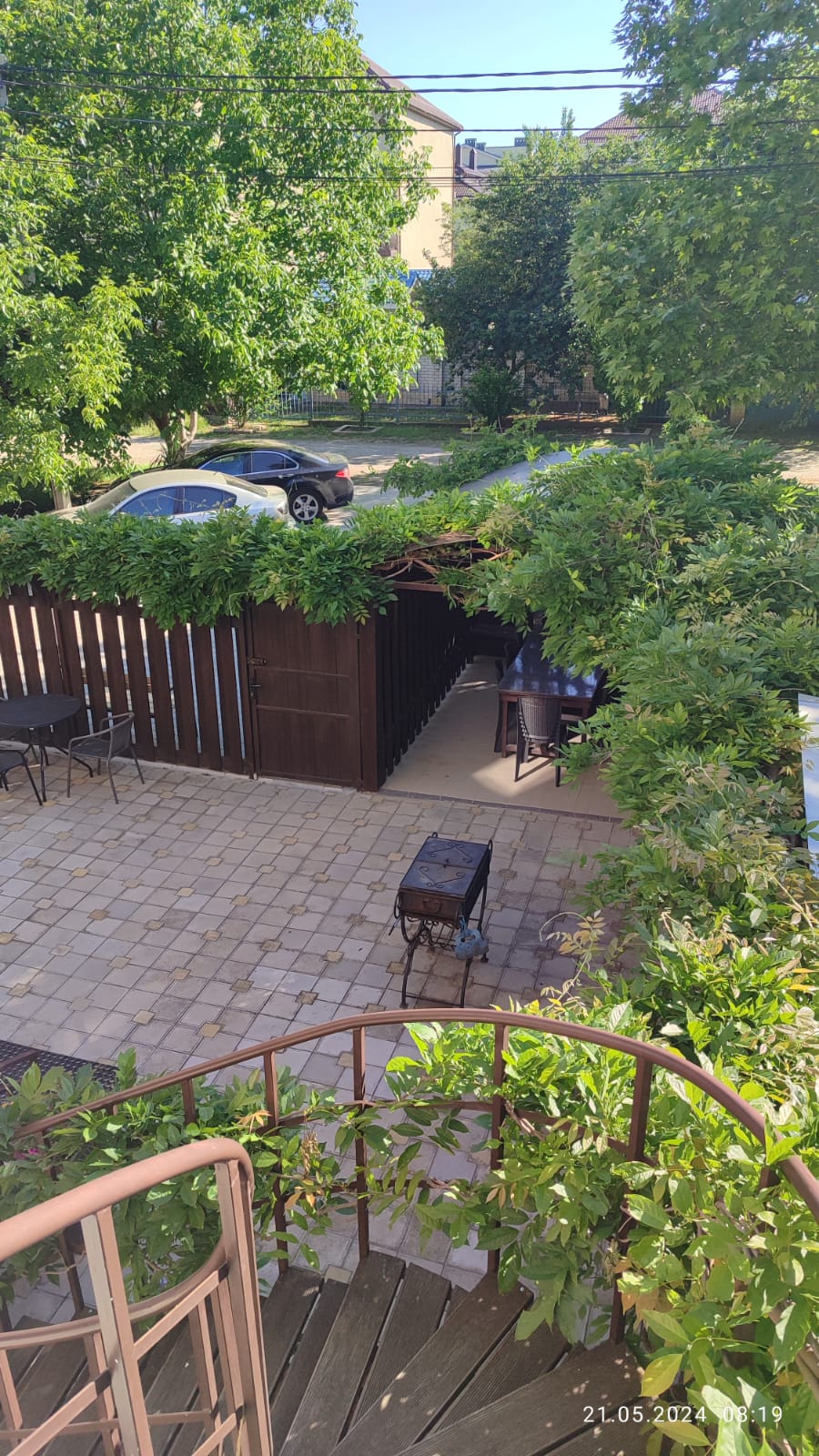 Фото Жасмин