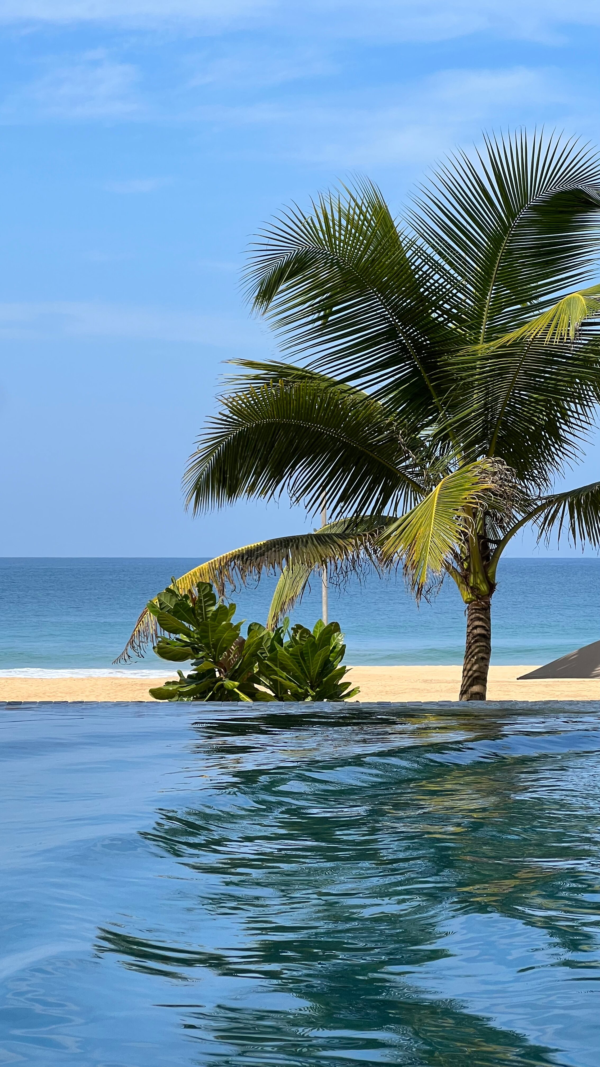 Фото Riff Hikkaduwa