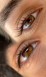 HollyDi (ulitsa Shabadina, 19А), eyebrow and eyelash salon